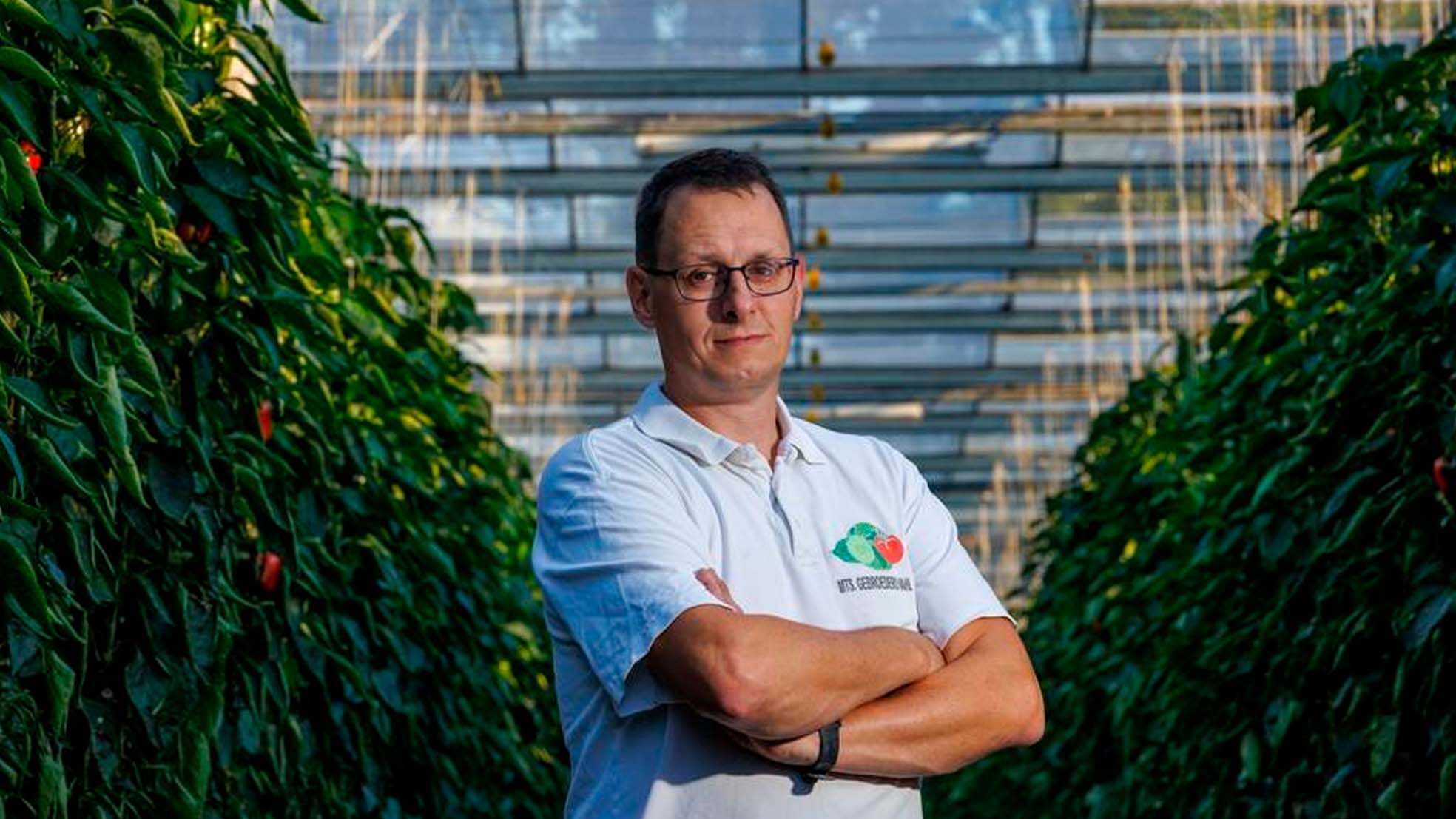 Grote zorgen voor Kees Vahl. De komkommerteler uit IJsselmuiden doet mee aan een landelijke actie om aandacht te vragen voor de problemen in de glastuinbouw. Foto: AD/Freddy Schinkel.