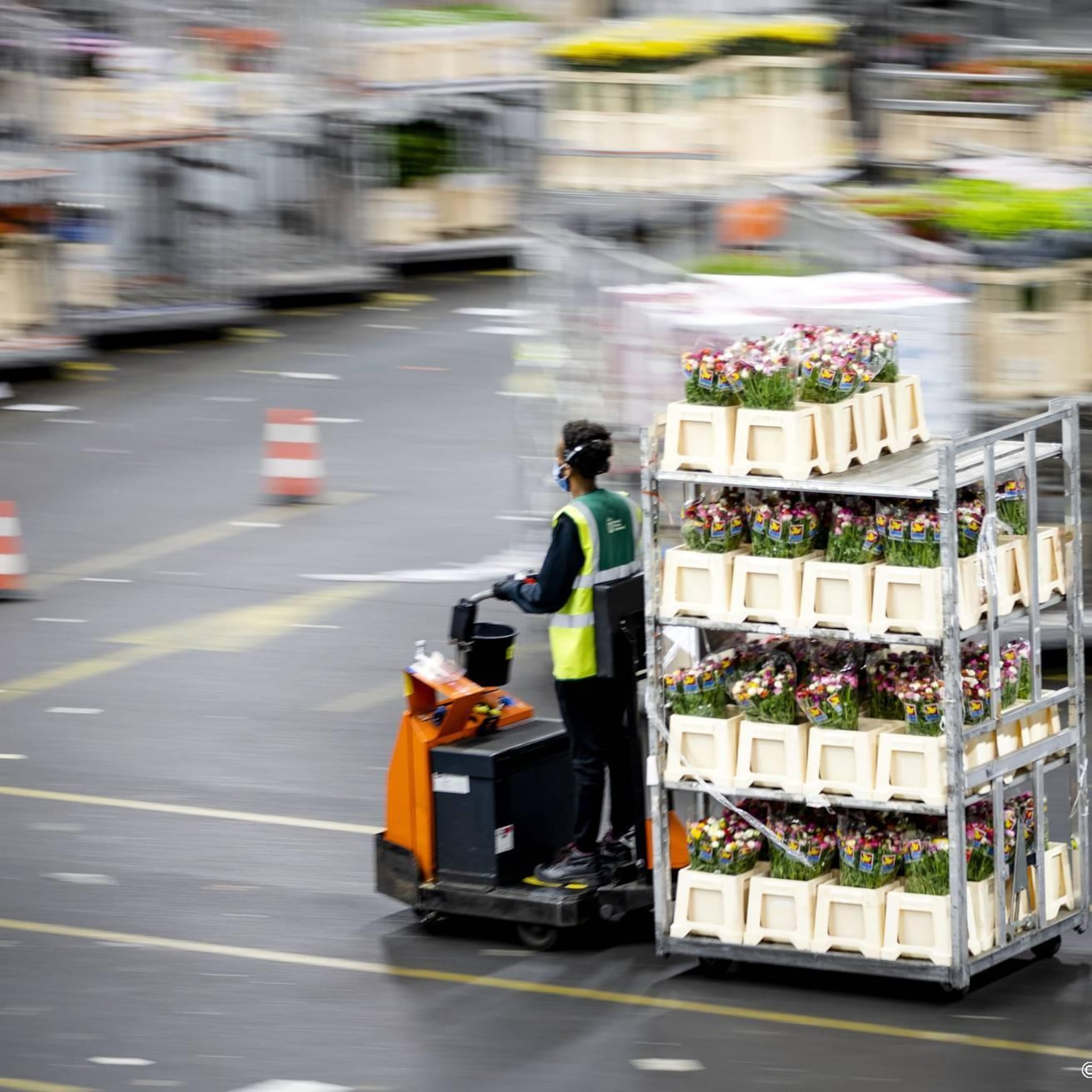 royal floraholland verwacht veel minder bloemen door dure energie