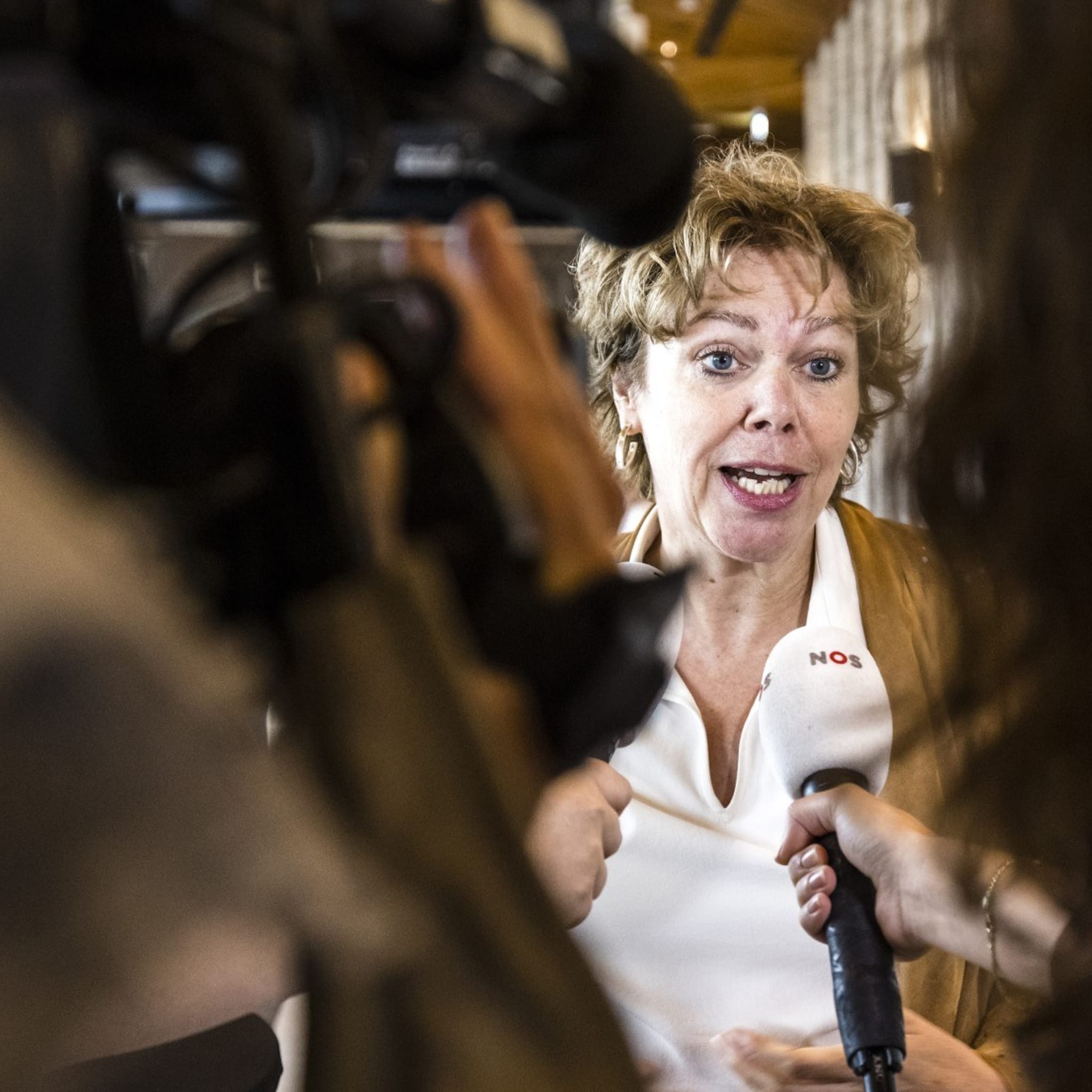 kabinet en bedrijfsleven werken aan innovatieaanpak voor oplossen stikstofprobleem