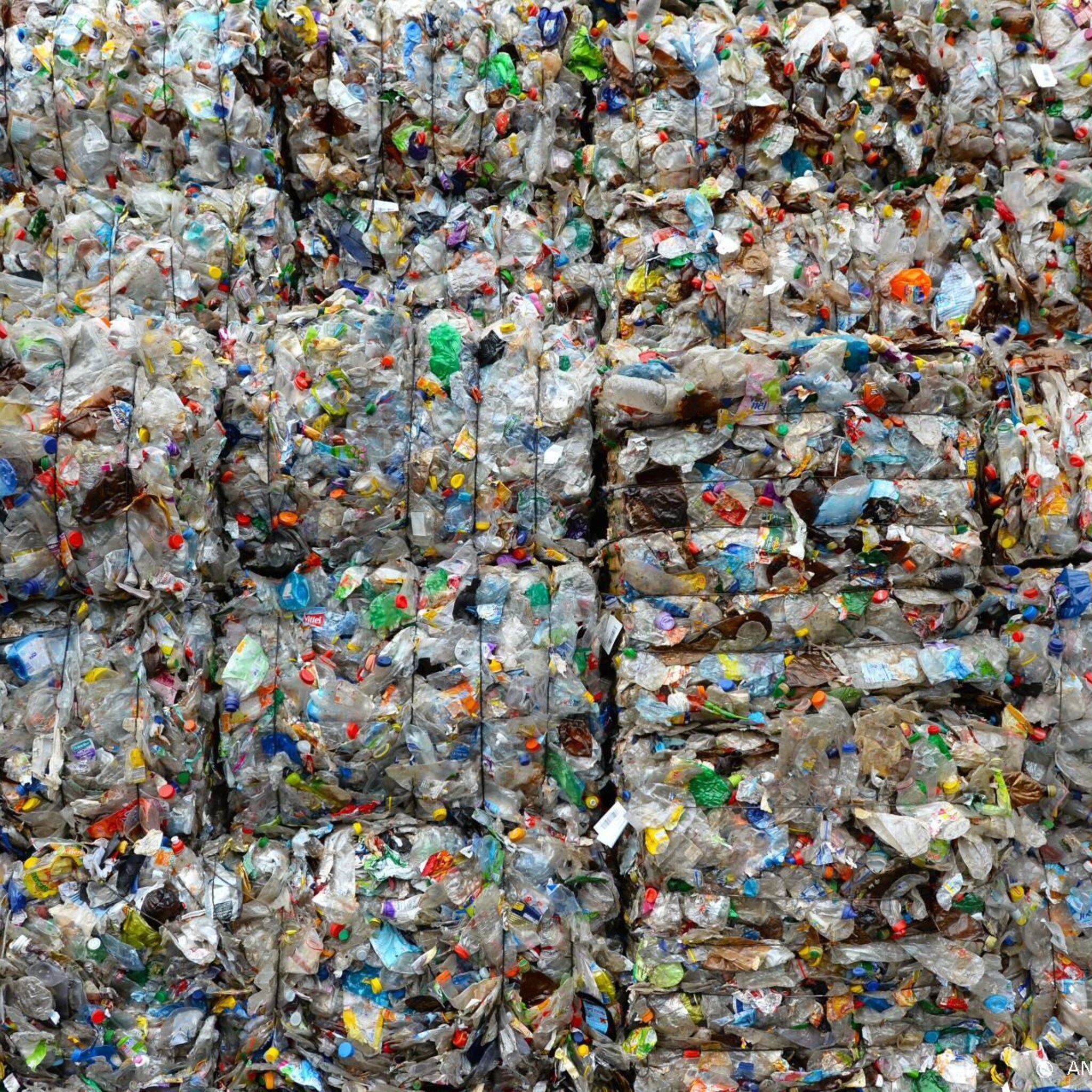 belgische proef met statiegeld op blikjes pakt goed uit