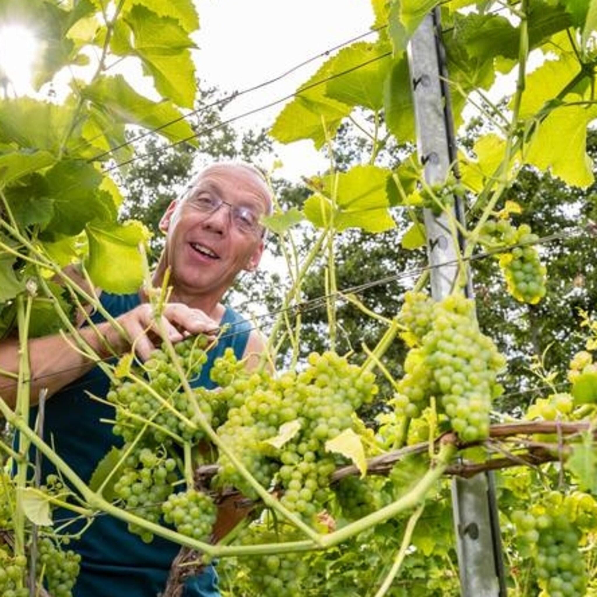 deze boer heeft geen last van zomerse temperaturen het is een superseizoen