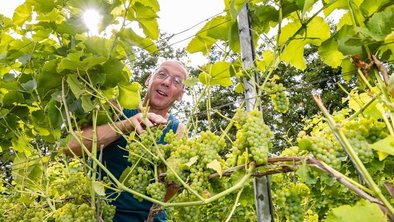 Wijnboer John Huisman is blij met de zomerse temperaturen. Pedro Sluiter Foto