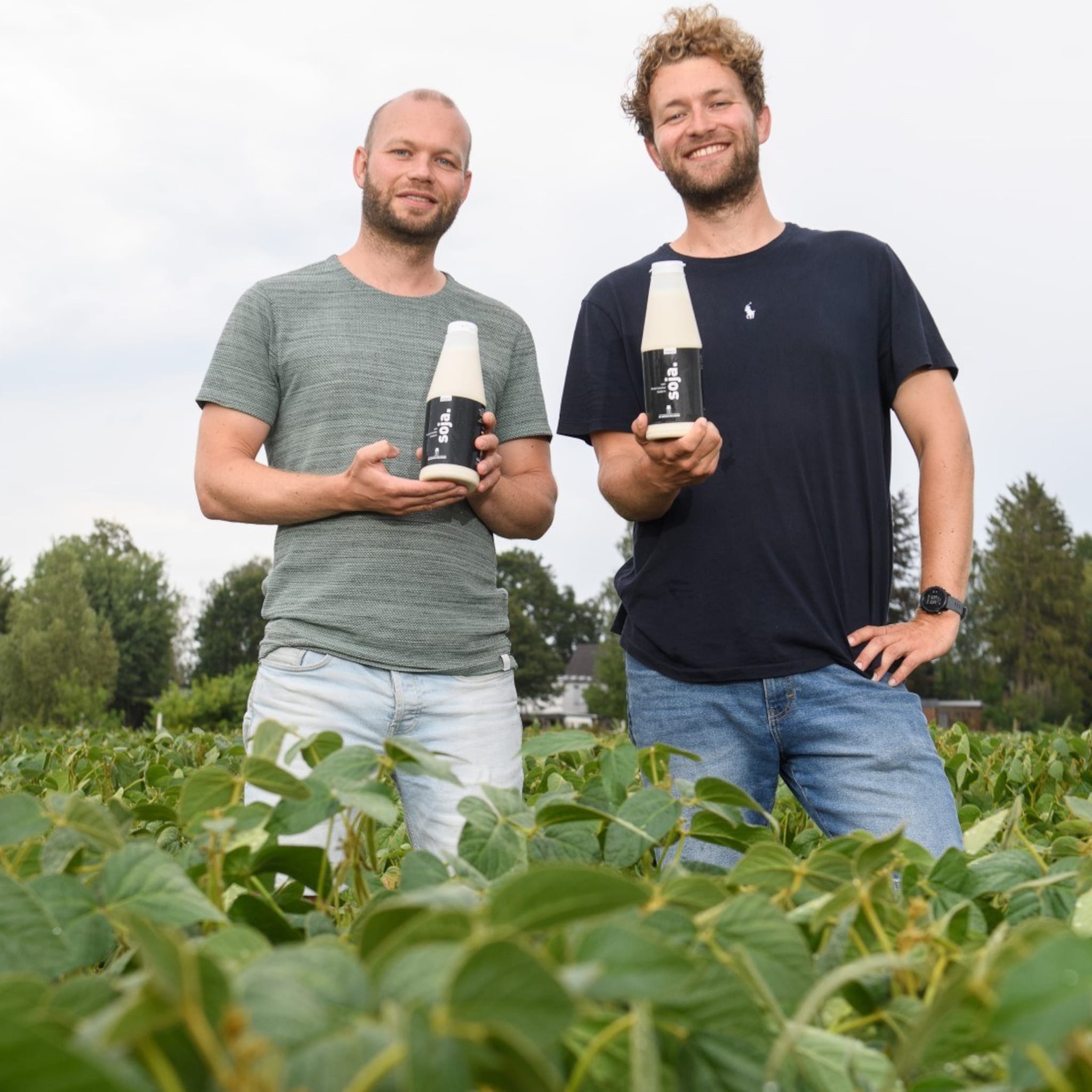koeien verkocht en alle ballen op soja broers bart en tom gooien roer om