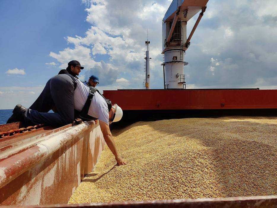 Graan aan boord van het eerste schip dat uit Odessa mag vertrekken. Foto: AFP.