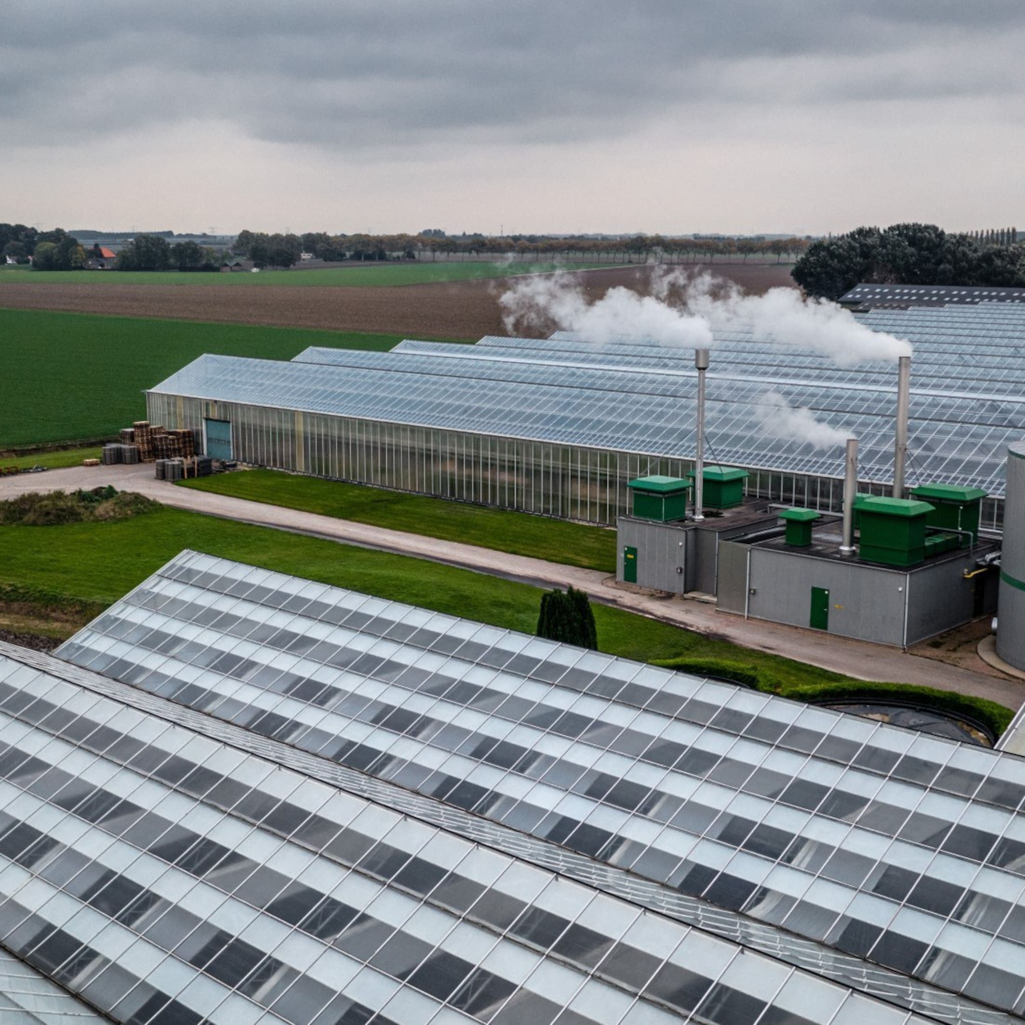 dnb acht steun onnodig gevolgen energiecrisis voor bedrijven beperkt