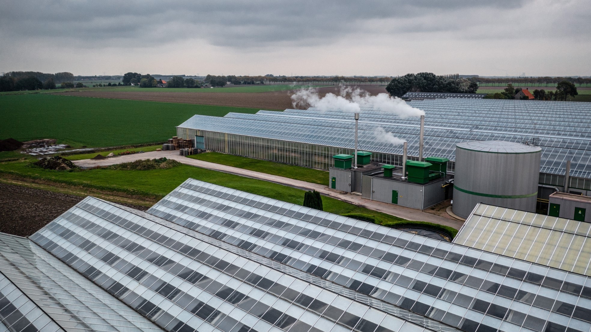 Tuinbouw in gebied Zevenbergen. Een sector getroffen door de stijgende energieprijzen. Foto: ANP