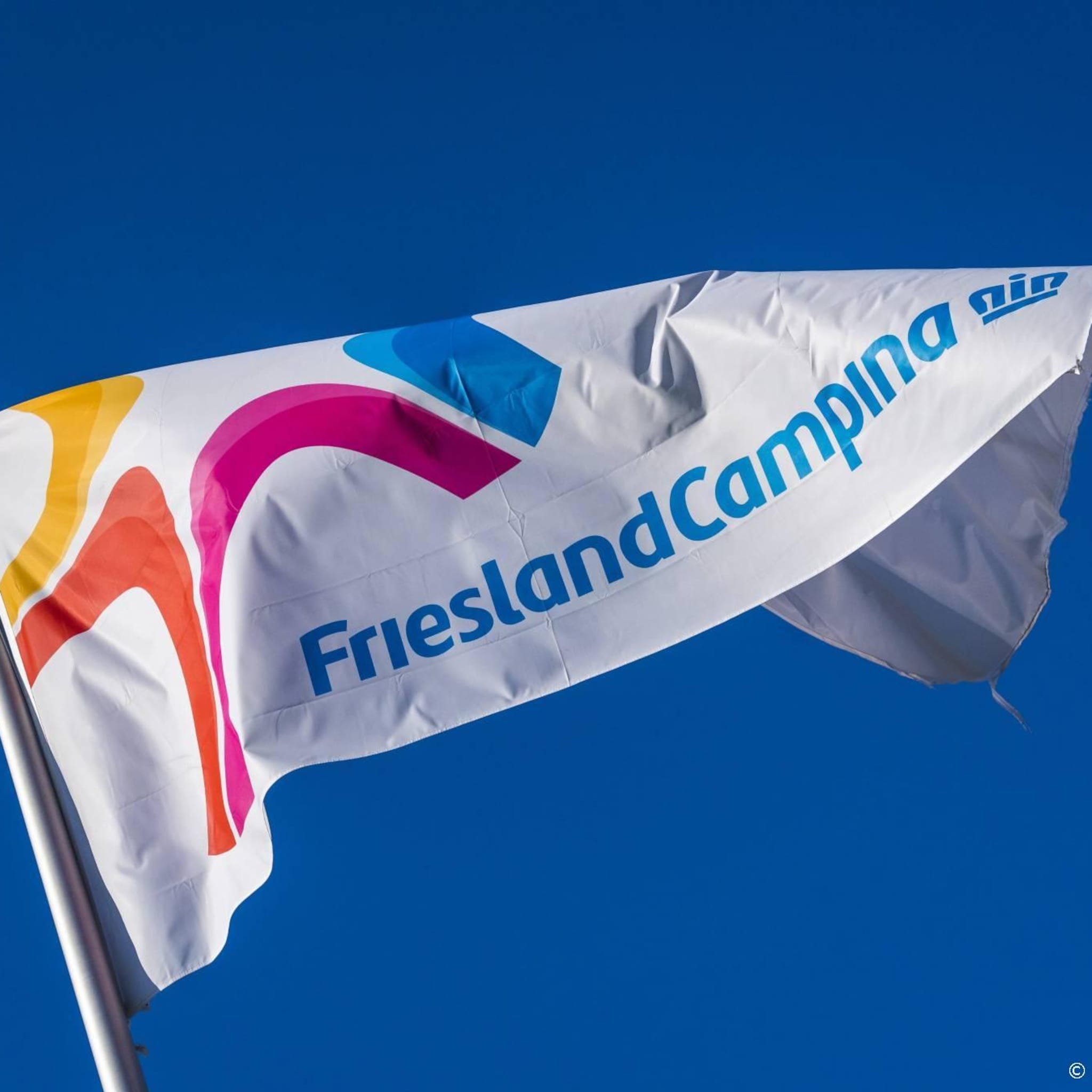 frieslandcampina gaat samenwerking aan met de nieuwe melkboer