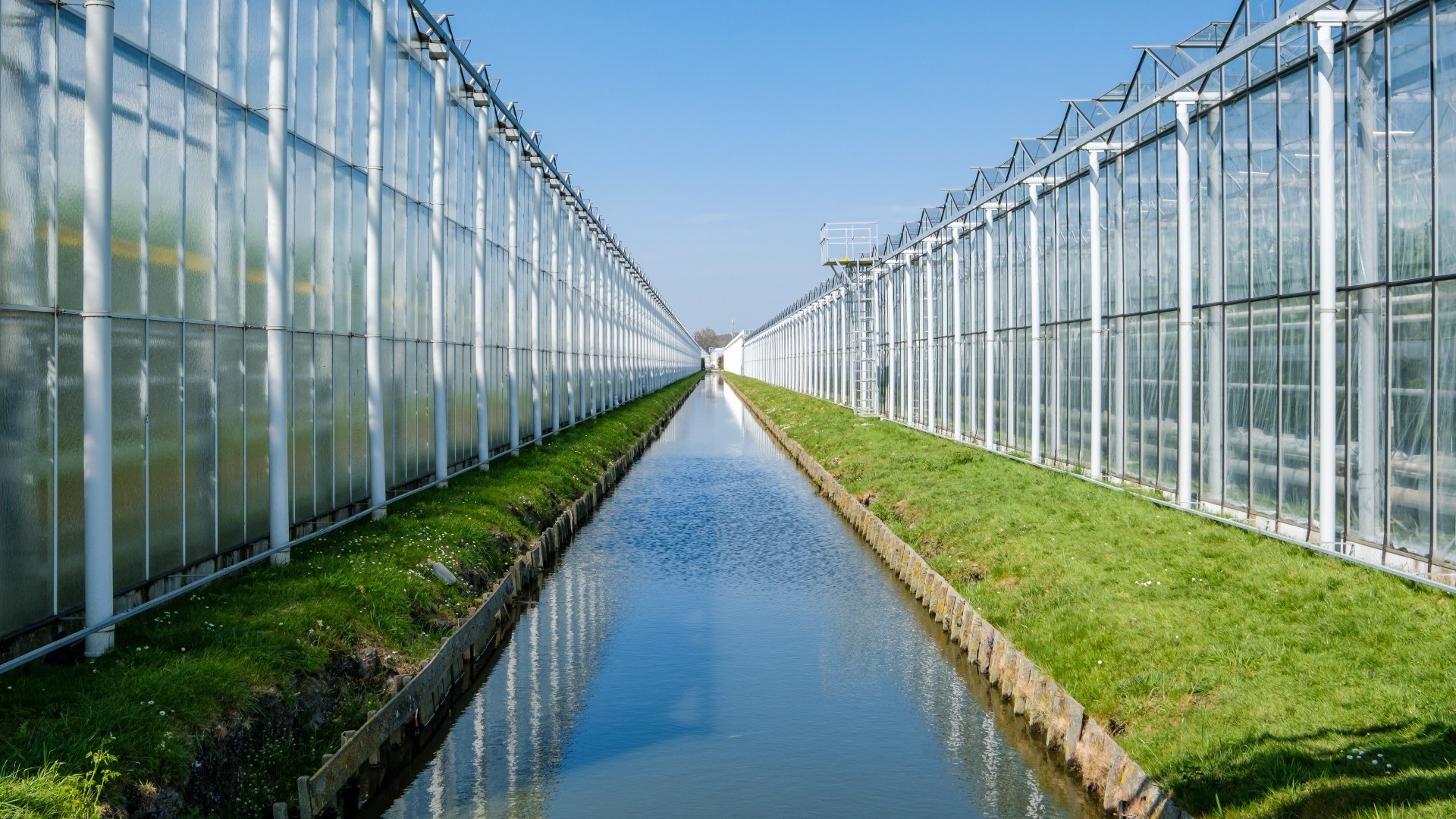 Foto: Shutterstock