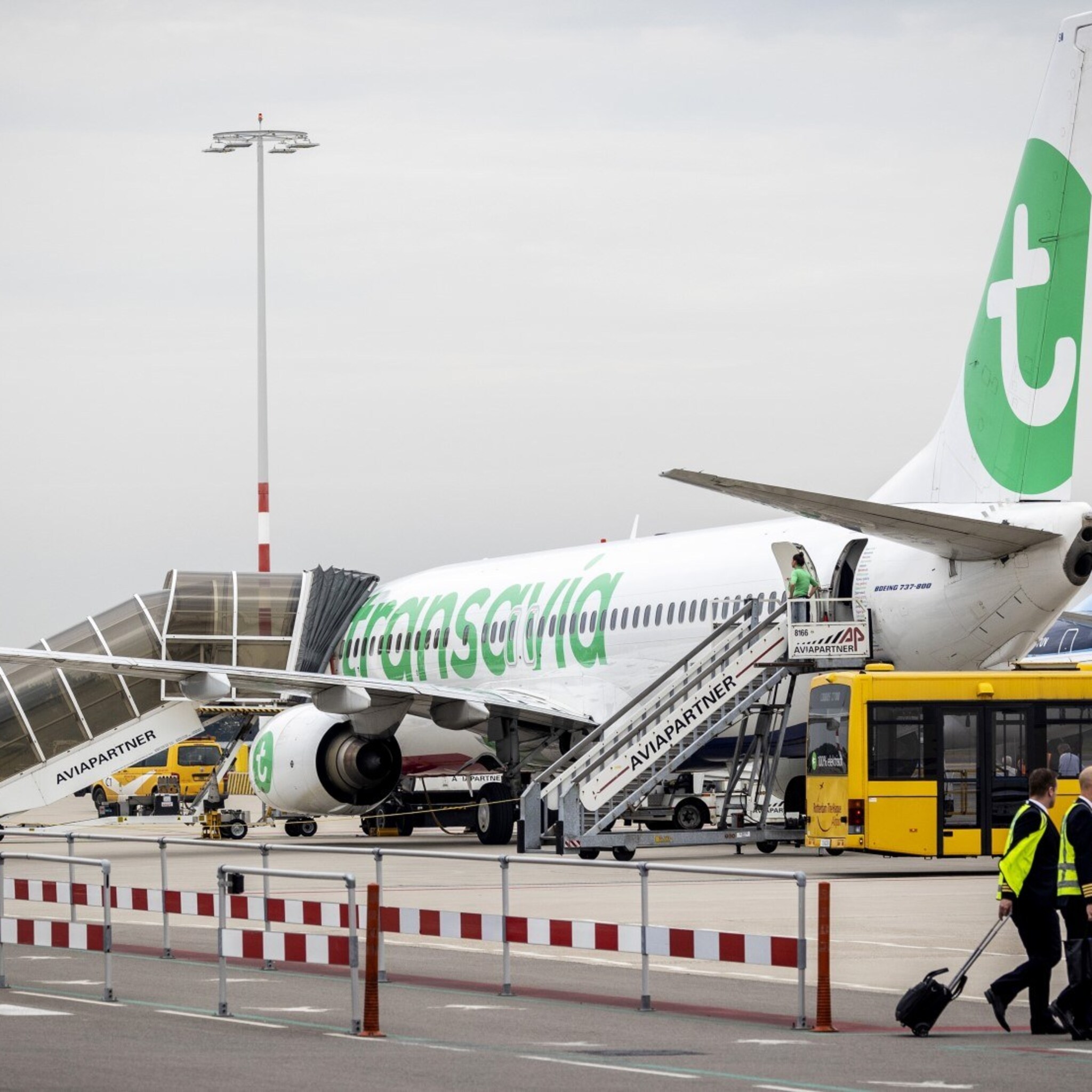 transavia annuleert 240 schiphol vluchten 13 000 boekingen getroffen