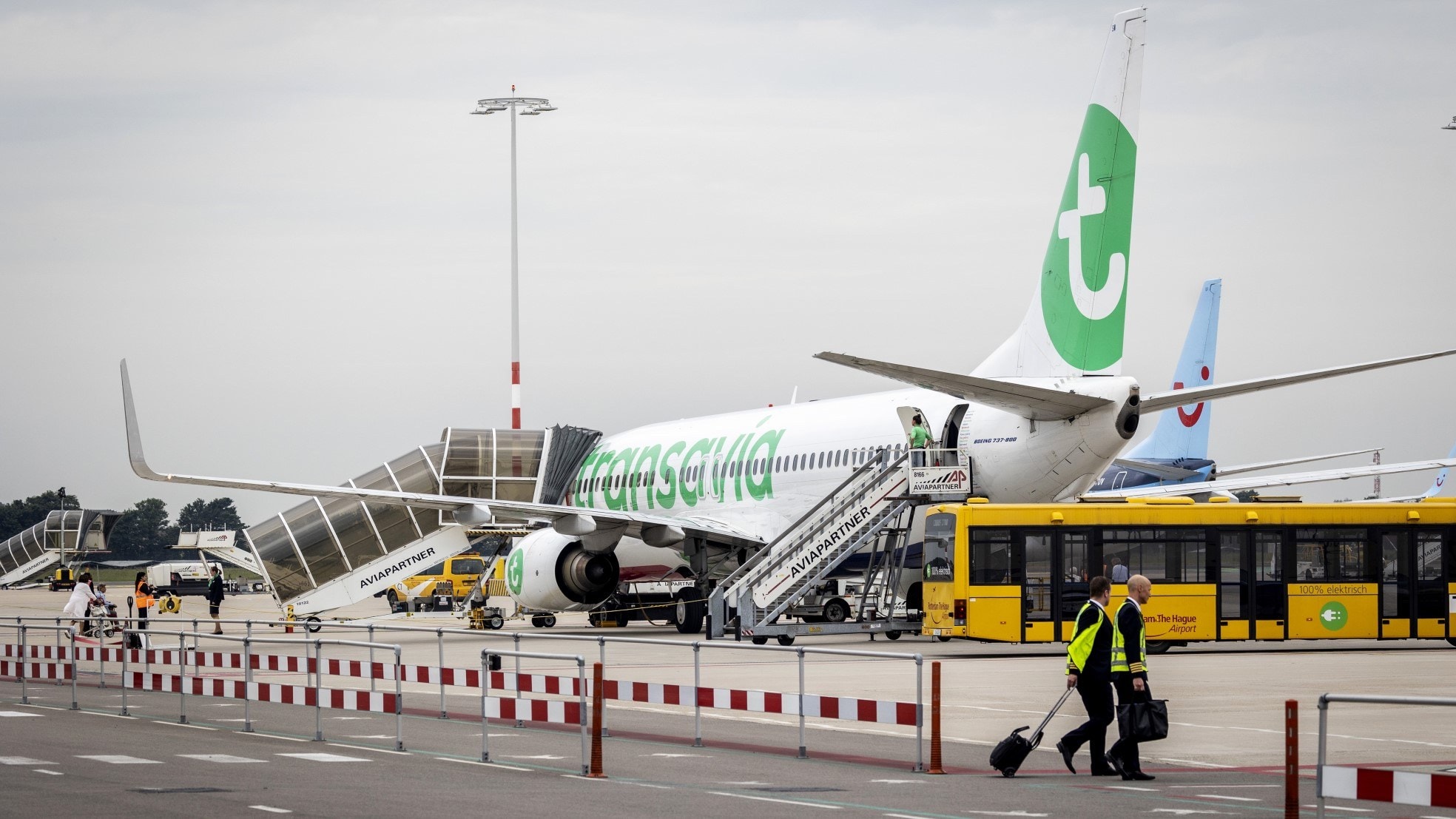 Een Transavia-vliegtuig. Foto: ANP