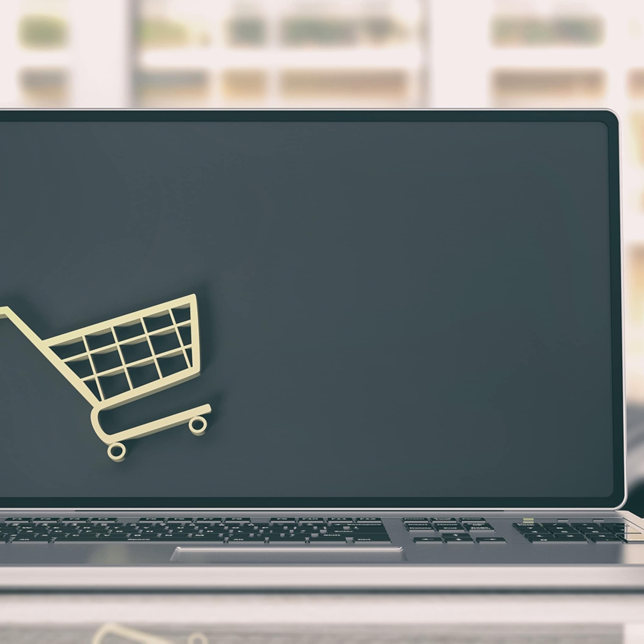 heb je voor jouw webshop de kvk nodig zo zit het
