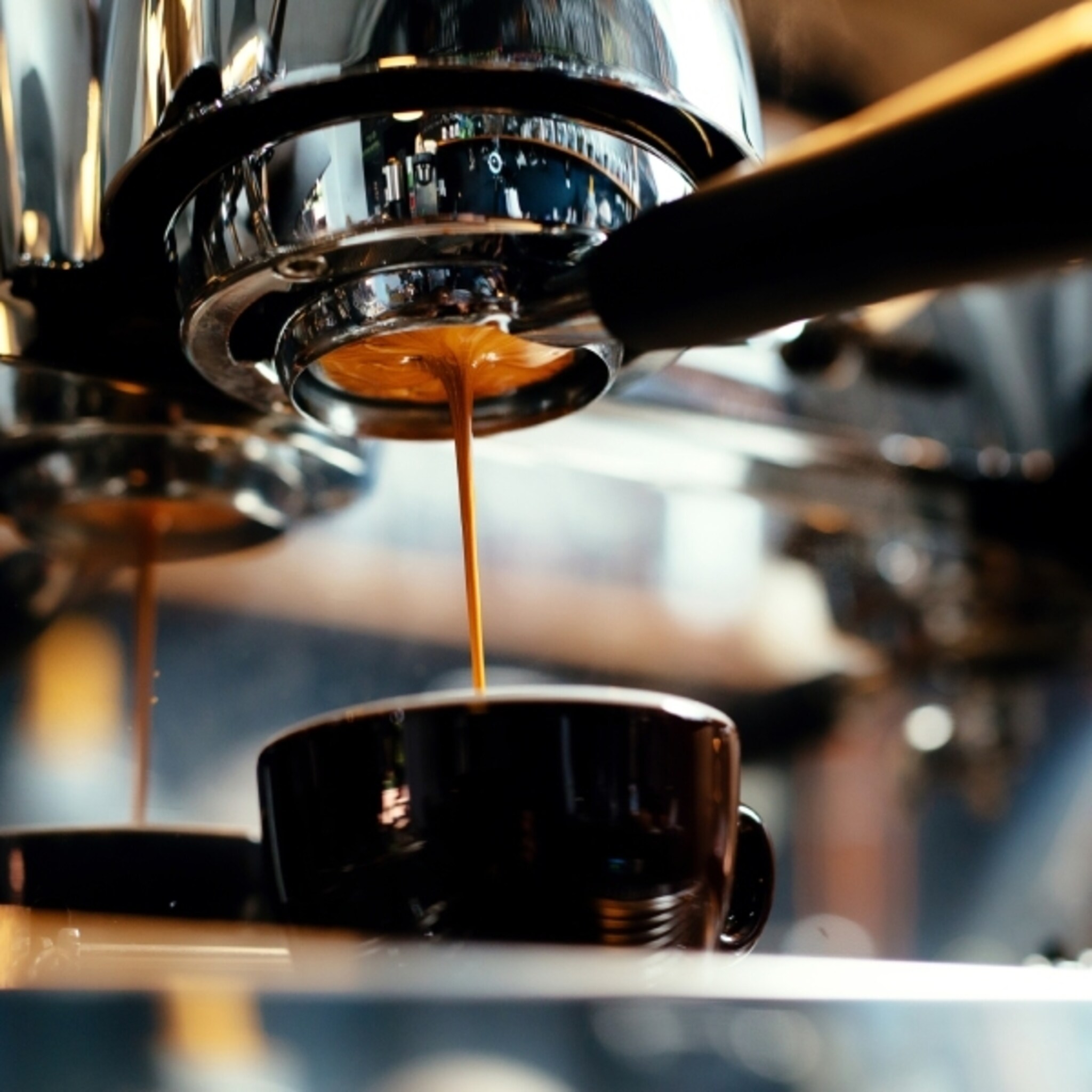 rotterdamse koffie ondernemer helpt startend theemerk in droomstart