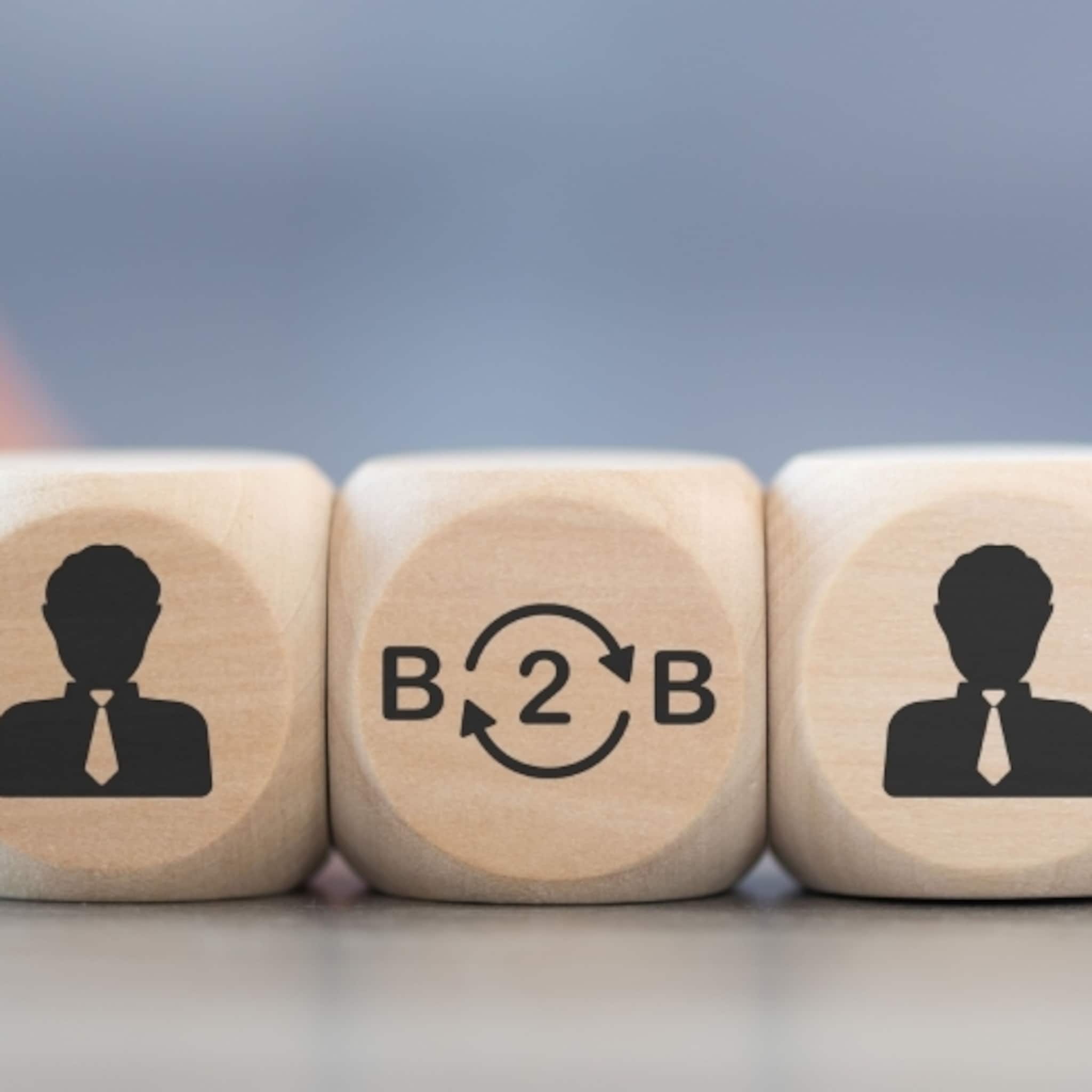 moeite met b2b sales deze expert geeft tips