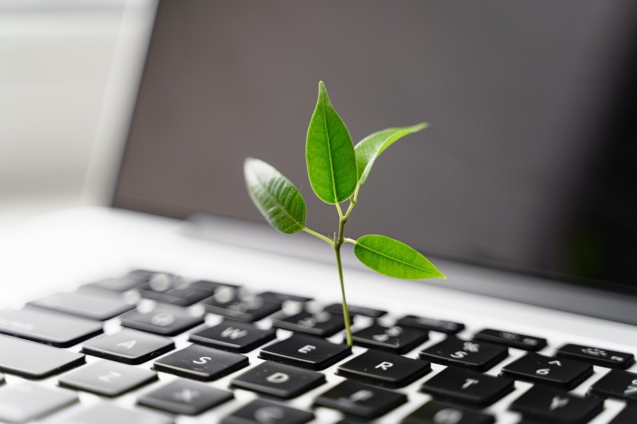 Foto: Shutterstock.
