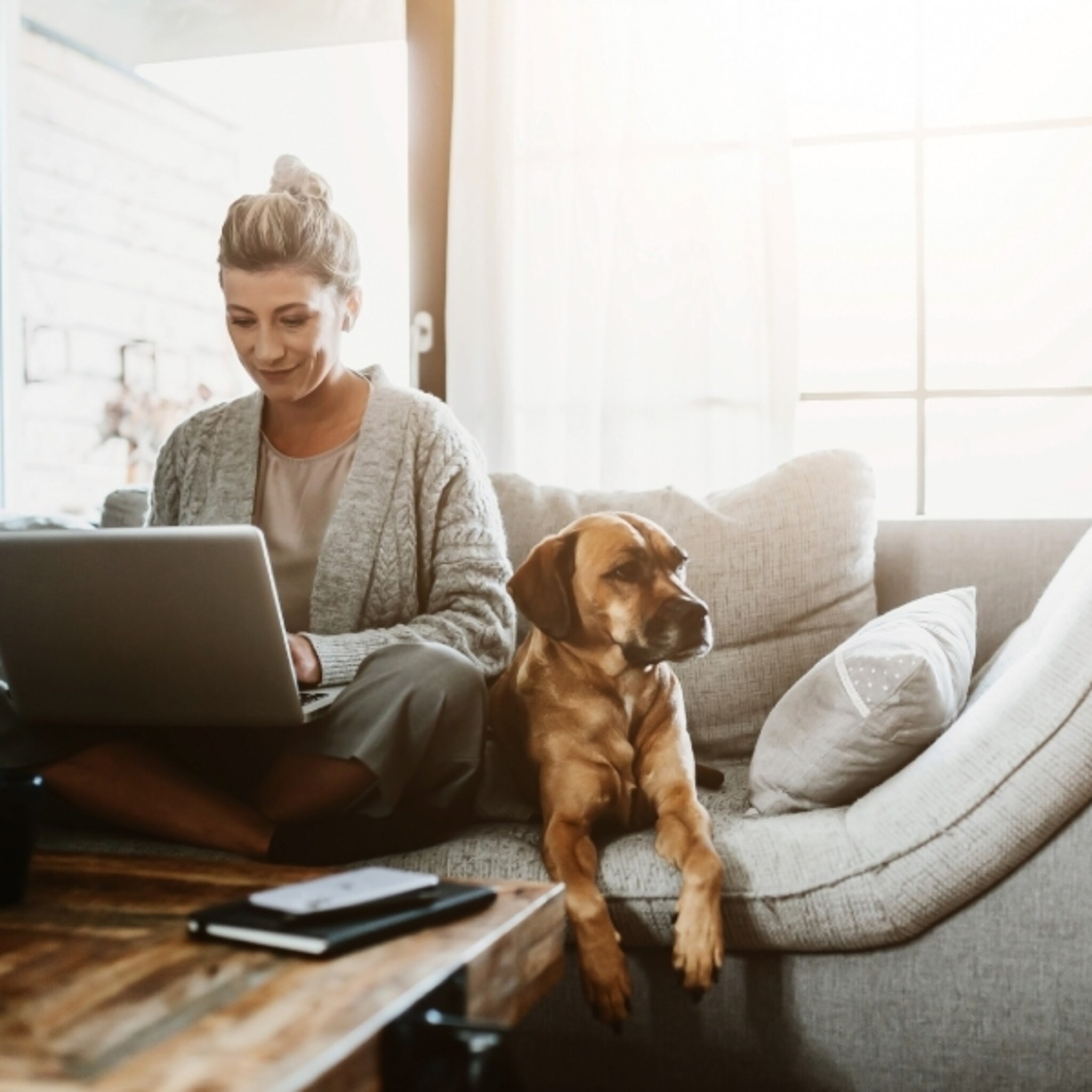 onderzoek toont aan thuiswerken heeft geen invloed op de productiviteit
