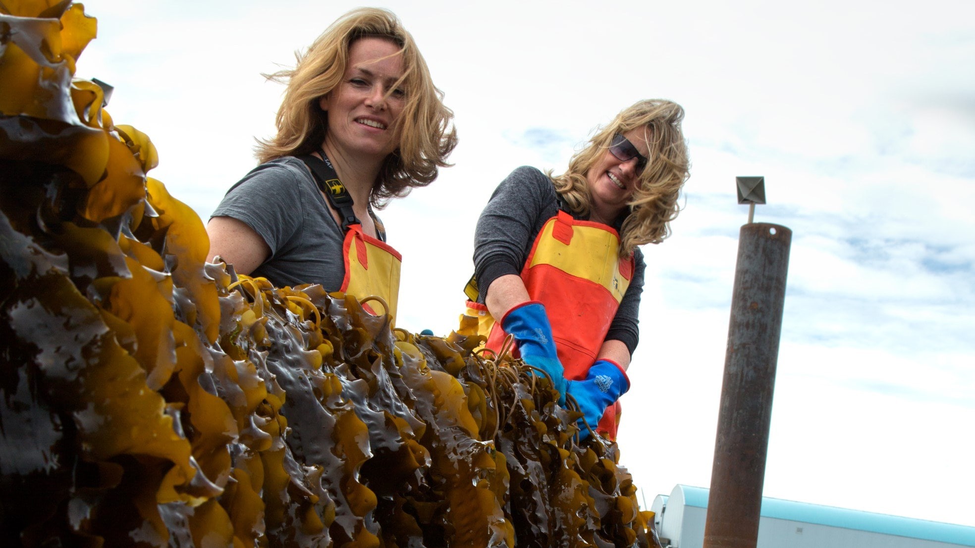 Zeewierpioniers Rebecca Wiering en Jennifer Breaton van Zeewaar. Foto: Zeewaar