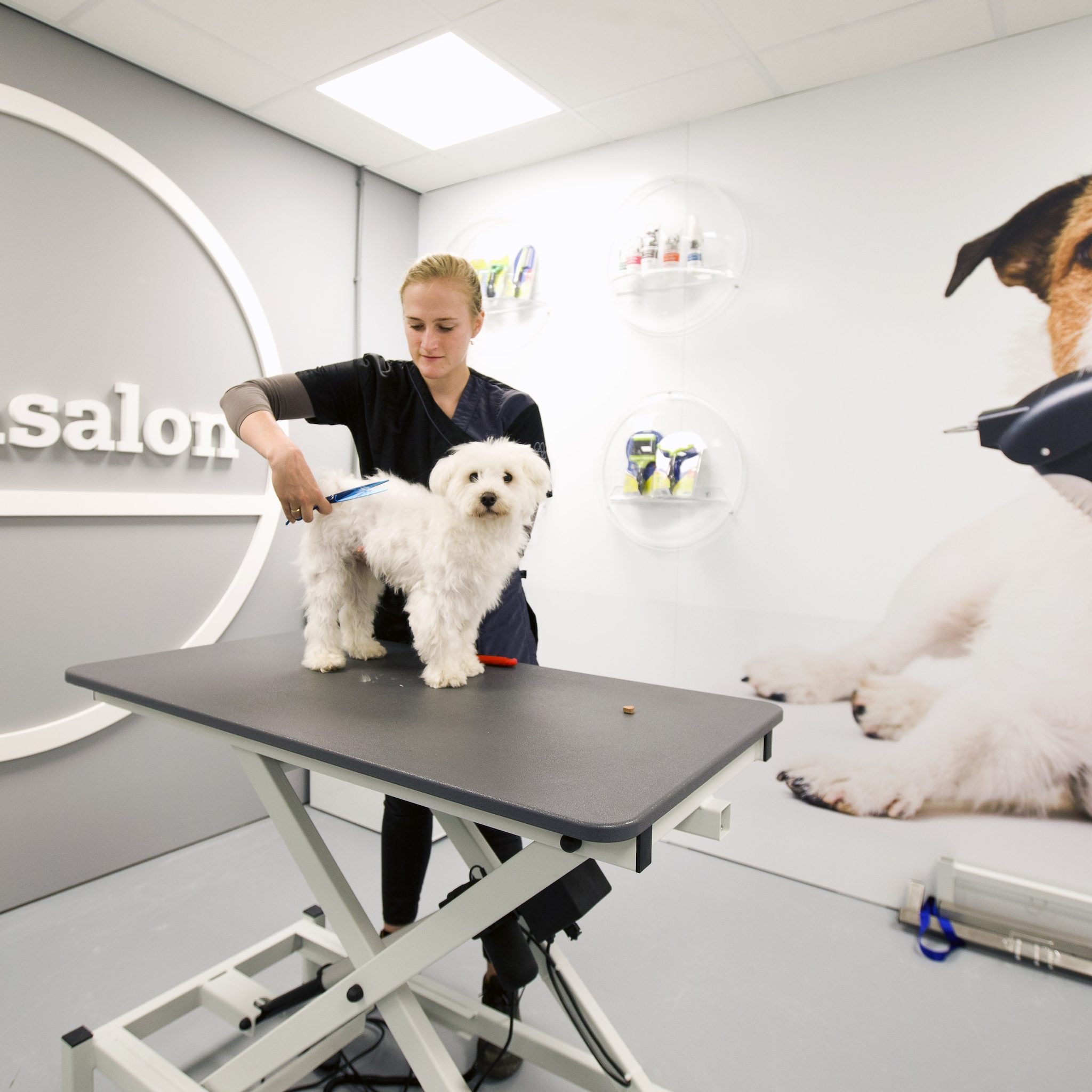 winnende strategie ceo pets place legt uit wat het geheime ingredient is