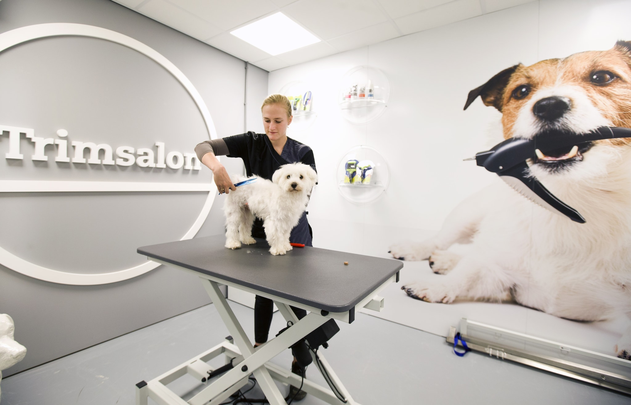 Door corona zijn Nederlanders meer huisdieren gaan kopen. Dierenspeciaalzaak Pets Place, onderdeel van IJsvogel Holding, vaart er wel bij. Foto: IJsvogel Holding