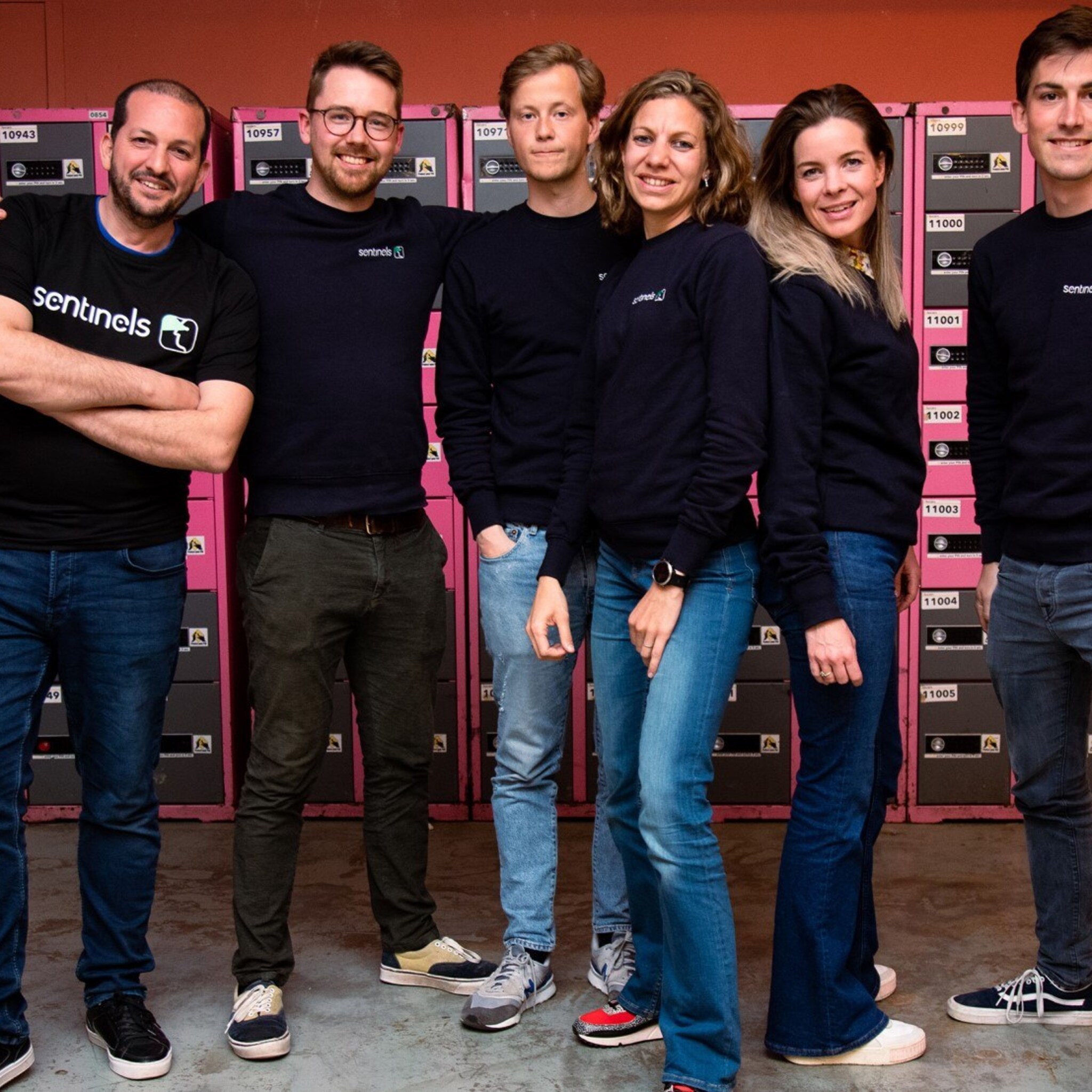 maker anti witwassoftware sentinels komt in ierse handen
