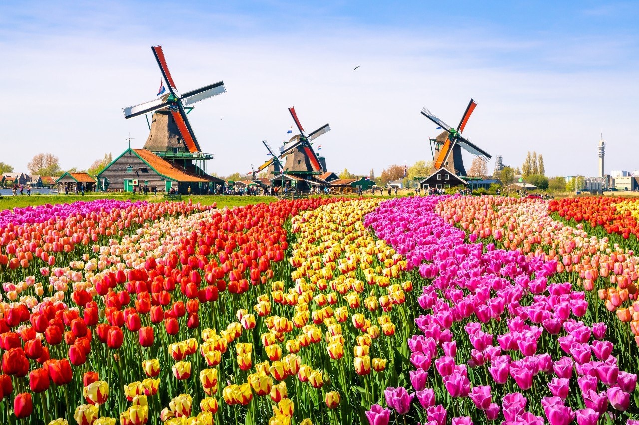 Toeristische attracties in Nederland trekken dit jaar meer bezoekers, maar daar zit nog wel een rem op. Foto: Shutterstock