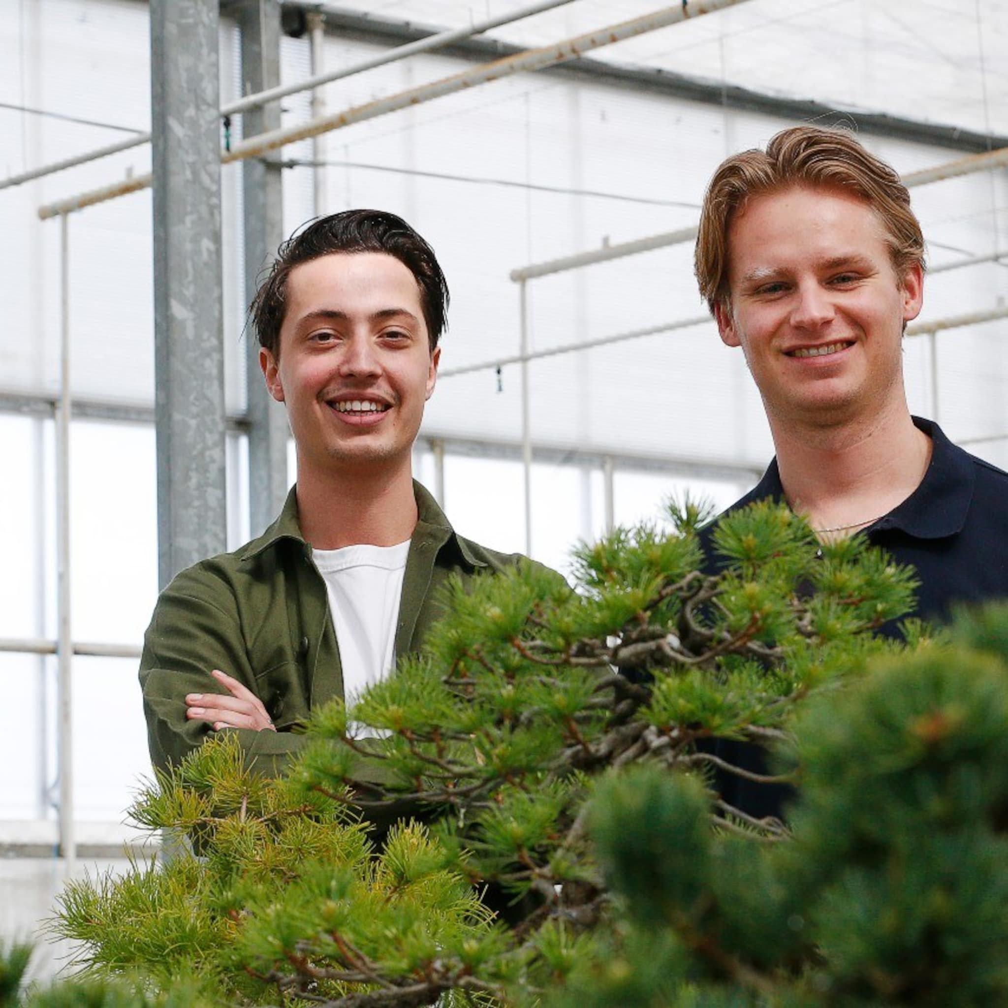 startup van de week the bonsaist webshop voor bonsai