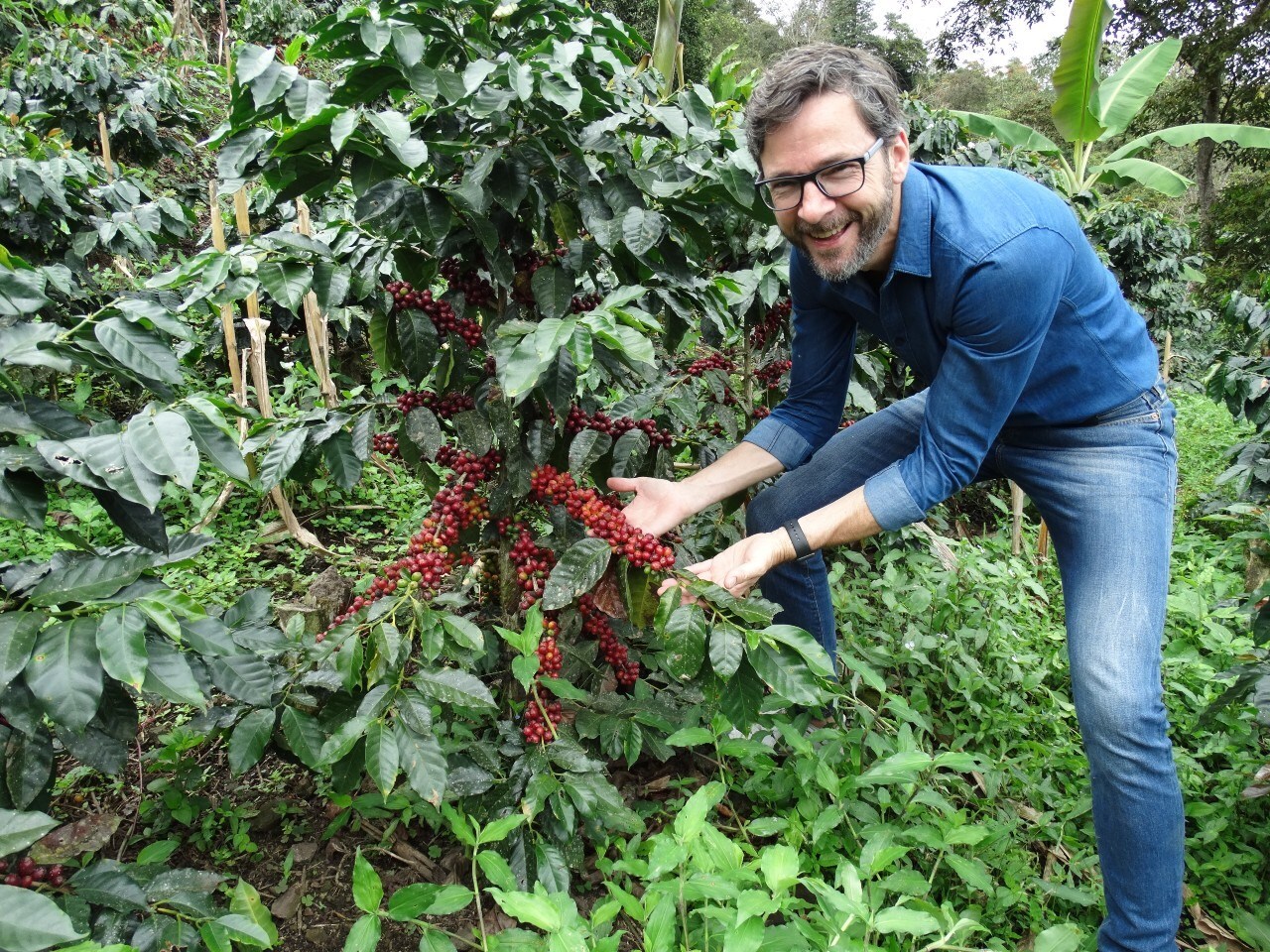 Bert Jongsma haalt veel van zijn inspiratie uitzakenreizen. ,,Ik leer veel van de passie waarmee onze koffiebouwers werken. Het zorgt voor diepgang en reflectie." Foto: Simon Lévelt