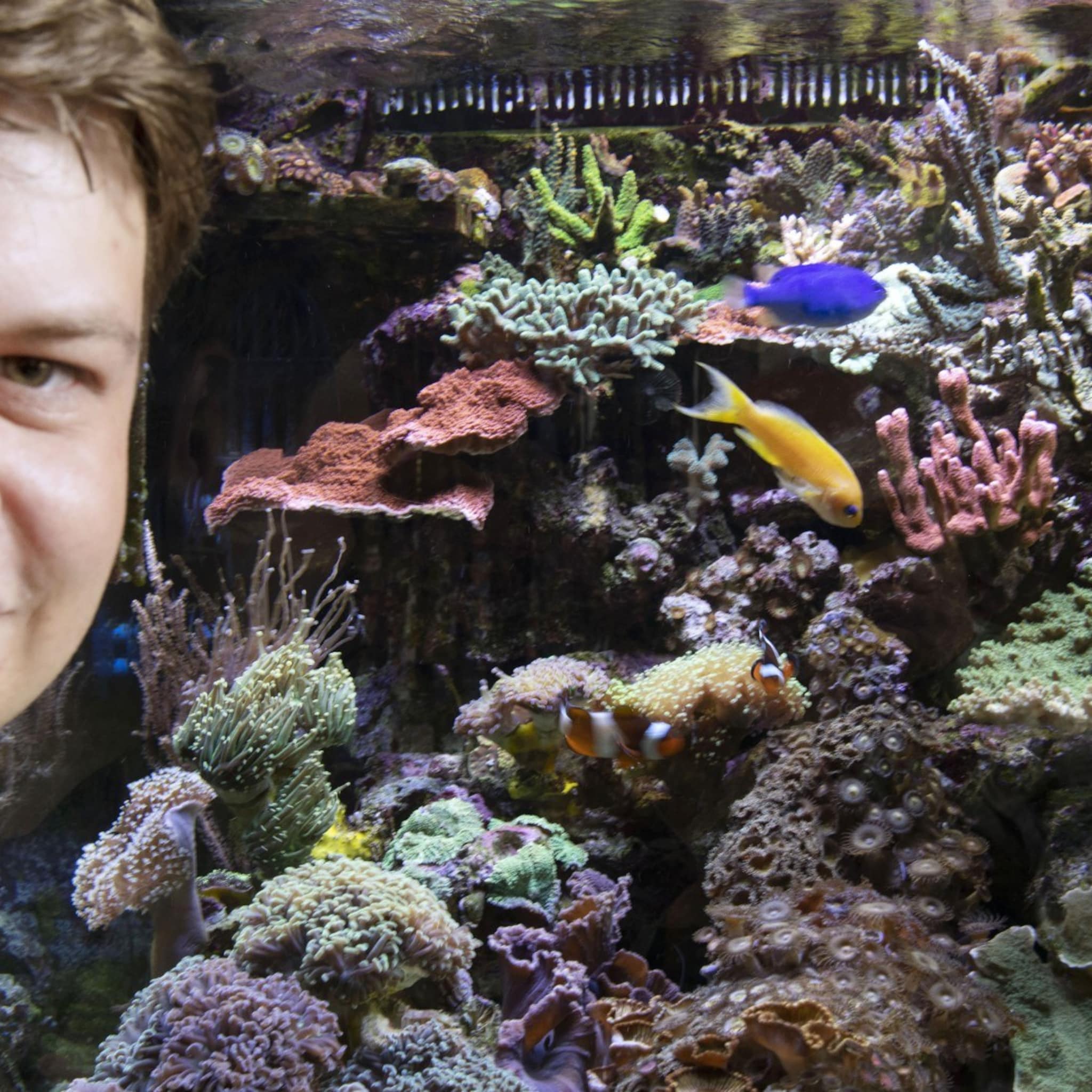 ondernemer kelvin kweekt koraalriffen en kan daar prima van leven