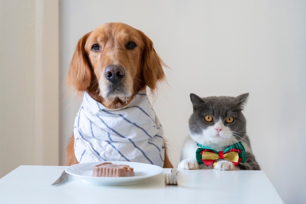 Foto: Shutterstock.