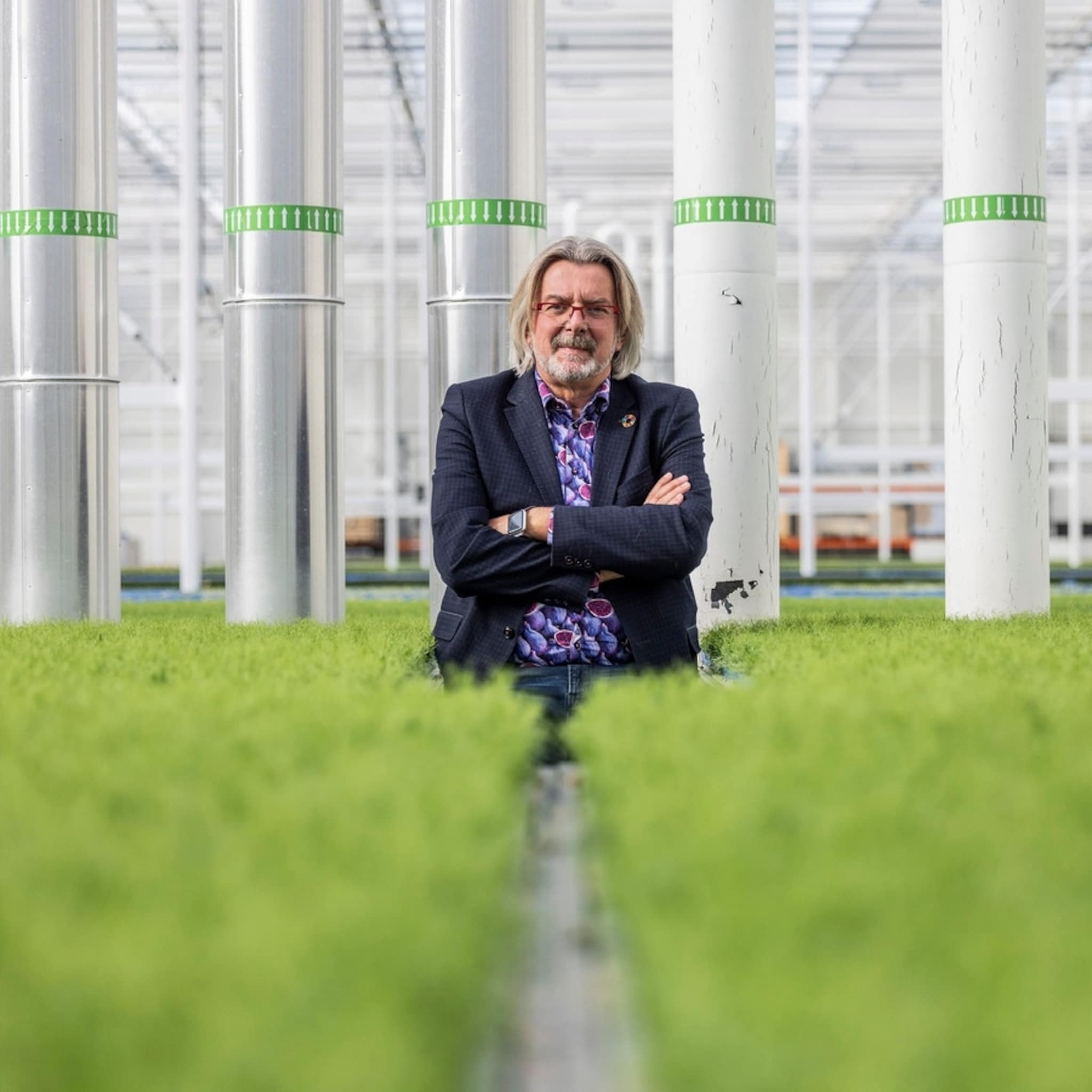 veel tuinders in problemen door gasprijs maar rob baan niet heb duurzaamste kas ter wereld