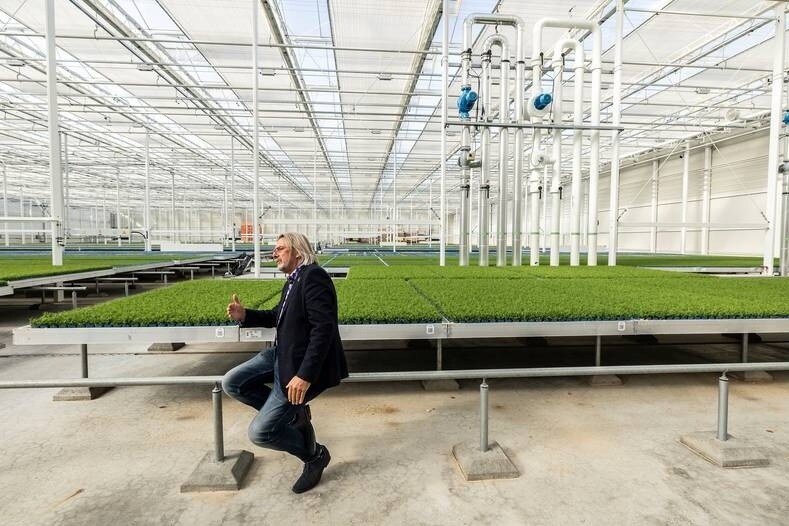 Rob Baan bij Koppert Cress. Foto: Thierry Schut.