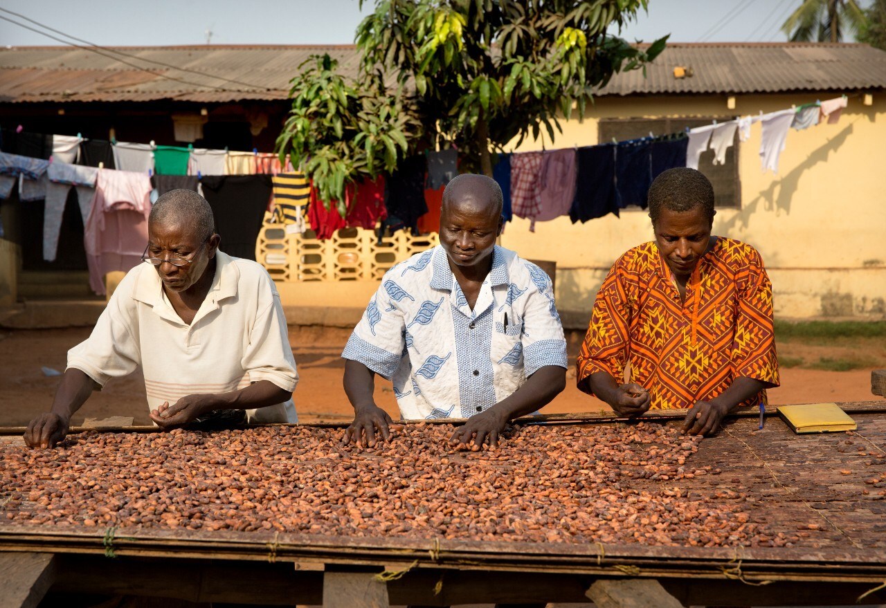 Ghanese boeren die hun cacaobonen verkopen aan Tony's Chocolonely.
