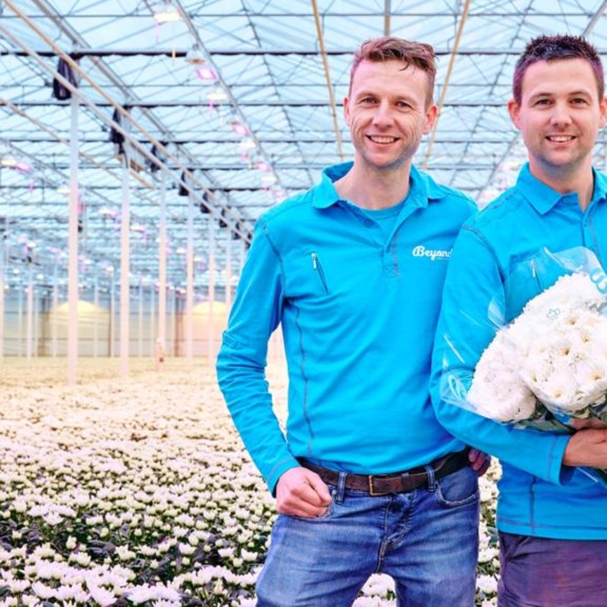 turbulente tijden voor chrysantenkweker is dit ondernemen of pokeren