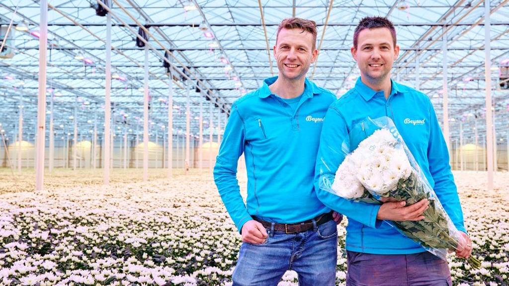 Wouter en Martijn Duijvesteijn van Beyond Chrysant uit Hoek van Holland. Foto: Beyond Chrysant.