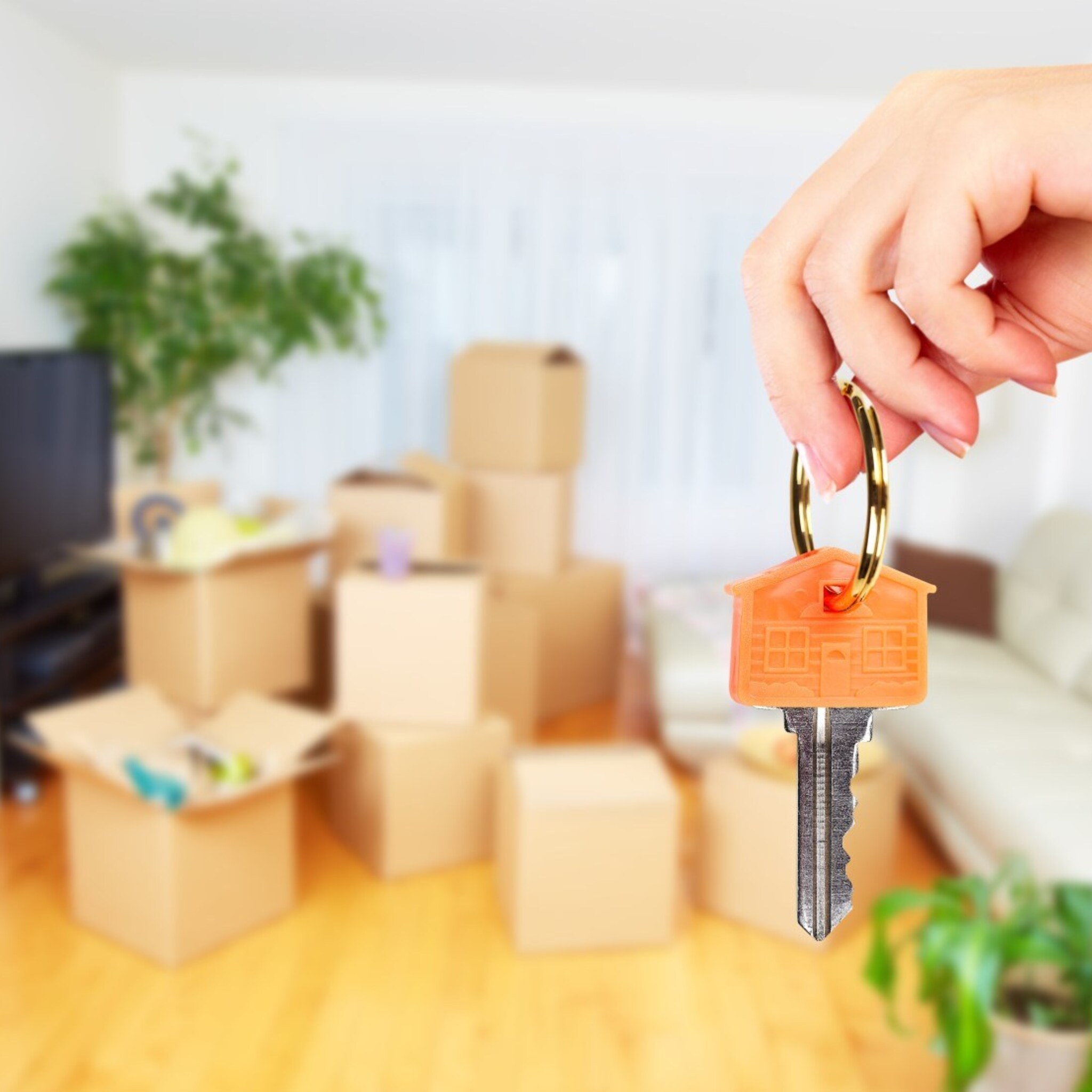 als rupsje nooitgenoeg knaagt housinganywhere zich naar een nummer 1 positie