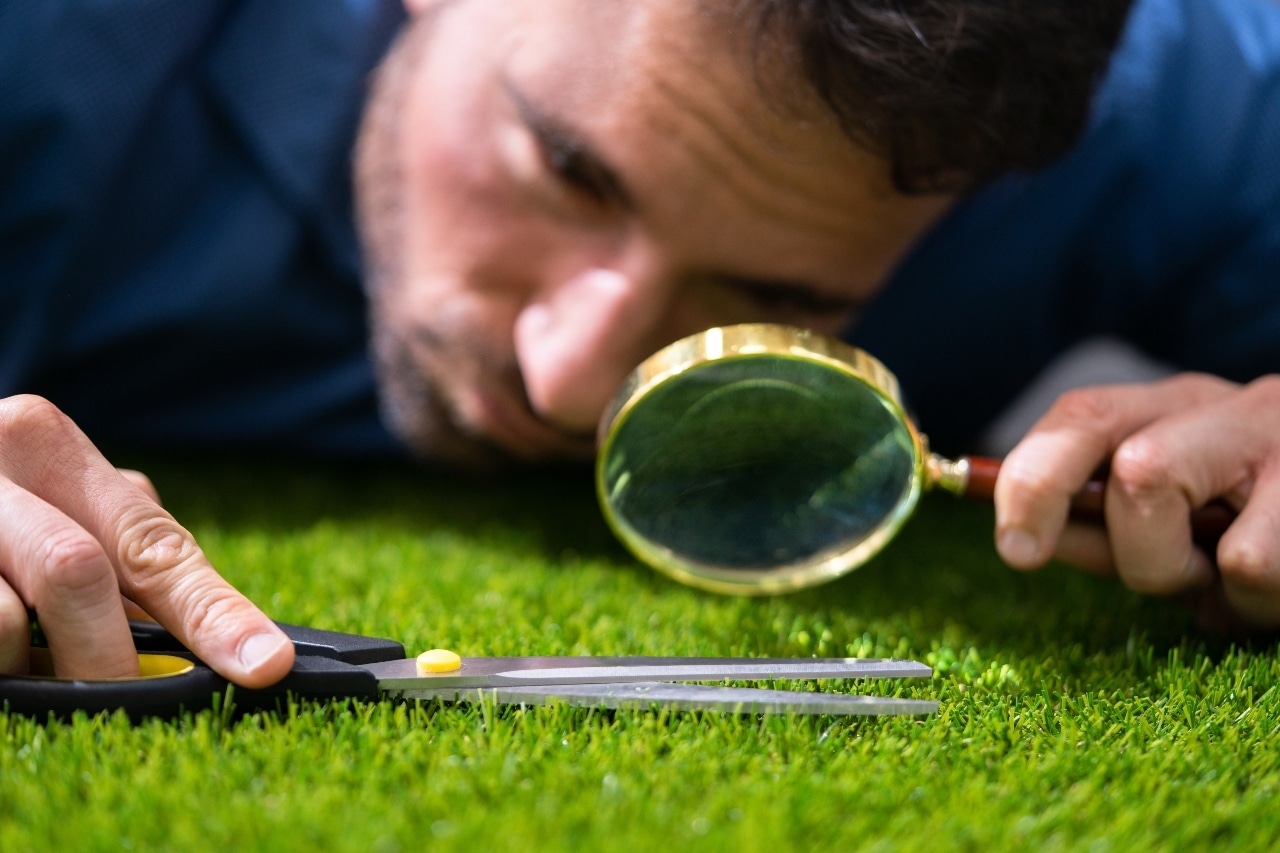 Foto: Shutterstock.