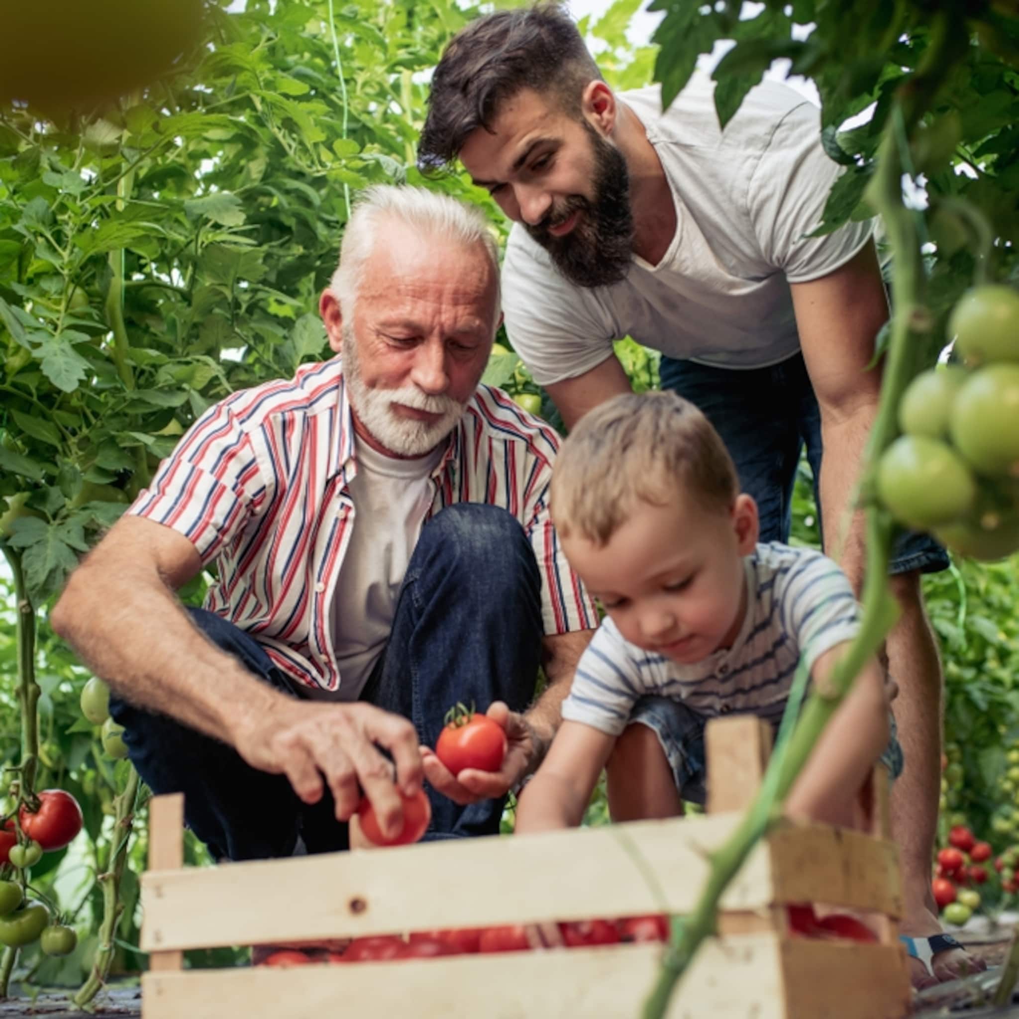 geen gedoe in het familiebedrijf door pre exit familie kan eerder genieten van kapitaal