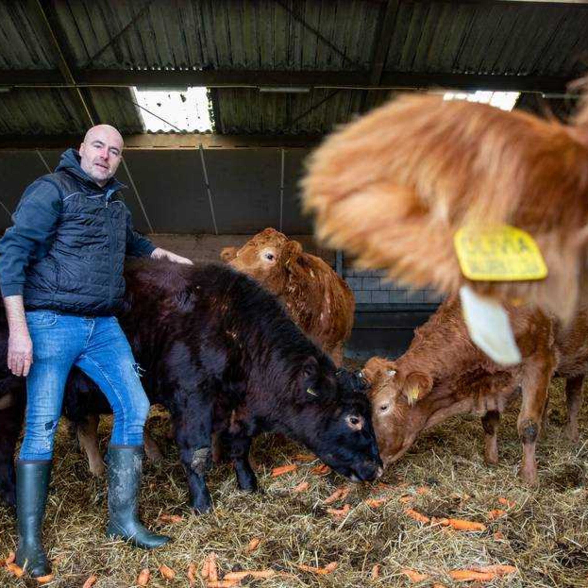 vleesrevolutie wordt leon moonen de eerste kweekvleesboer ter wereld