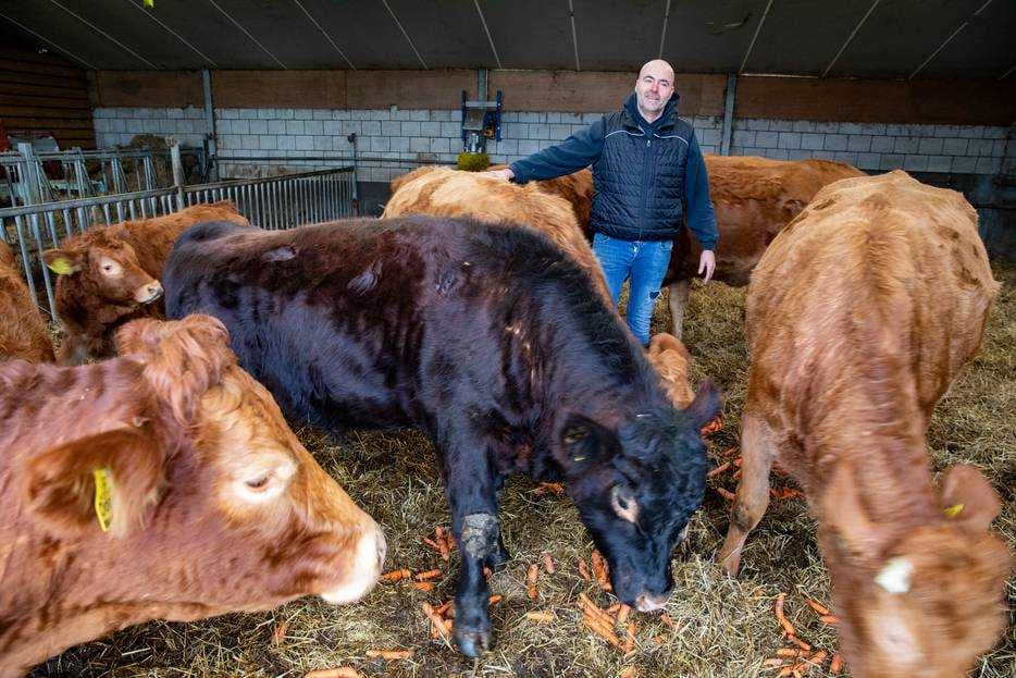 beeld deondernemer