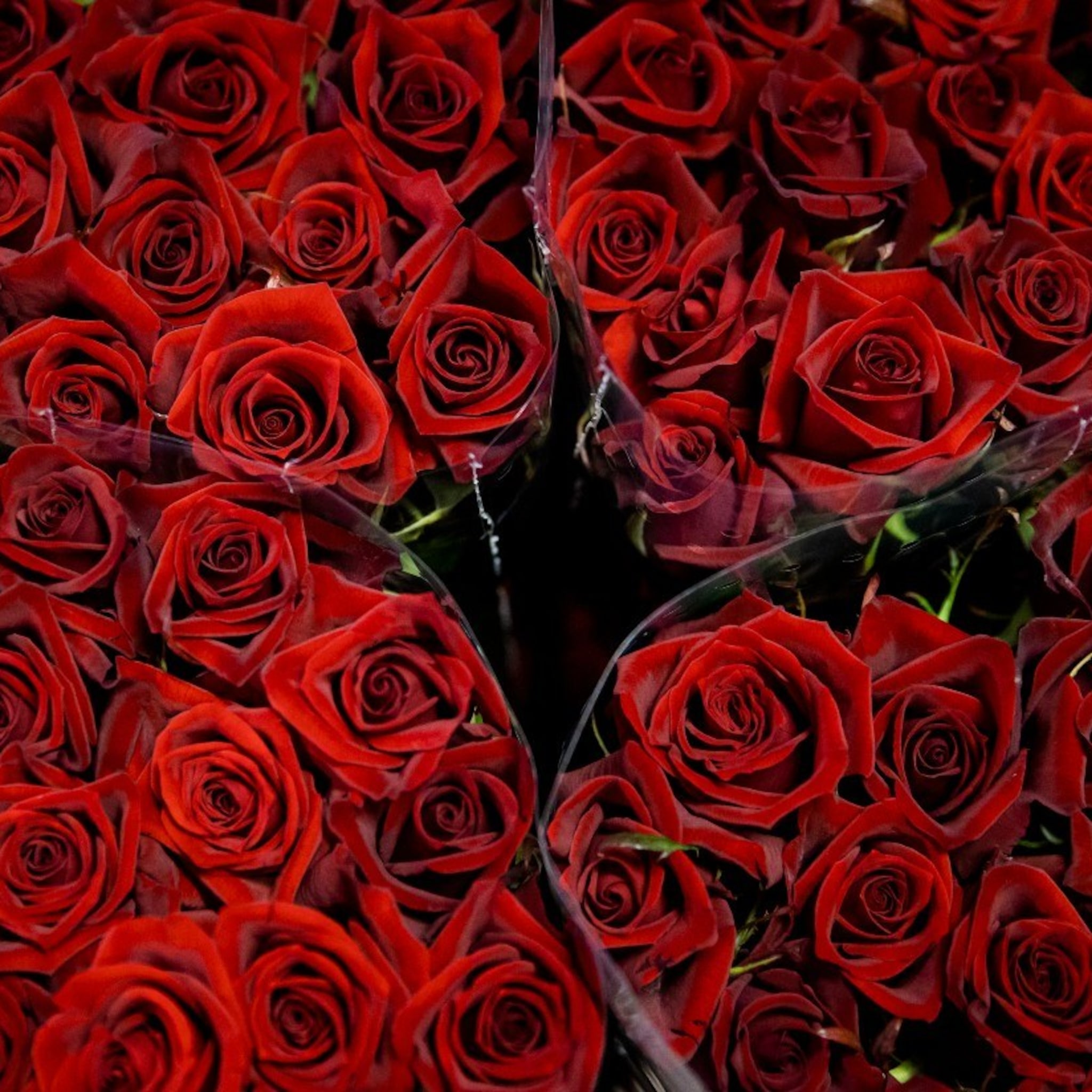 bloemen voor valentijnsdag duurder maar nog steeds populair