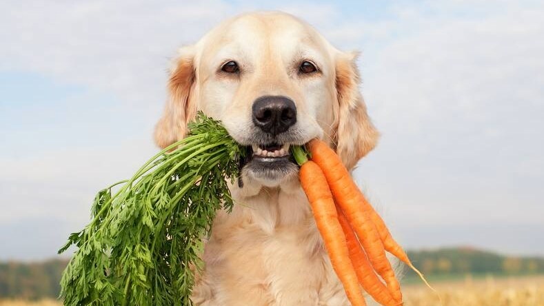 Foto: Getty Images