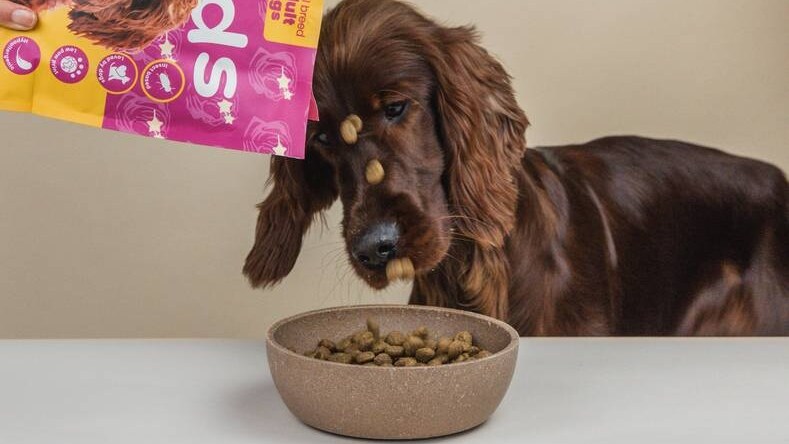 Met Teds kan ook de hond ‘flexitariër’ worden, zo betoogt het bedrijf. Foto: Teds