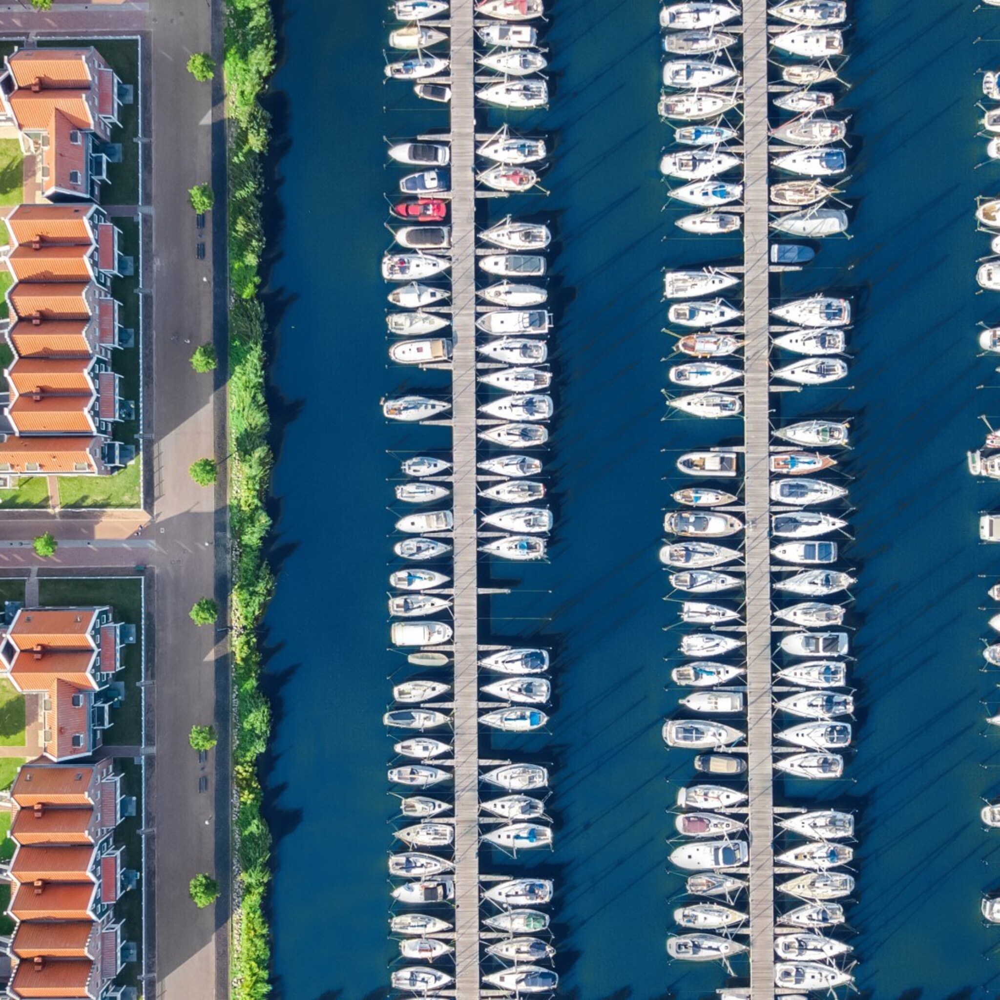 bootverhuurplatform barqo in handen van britse borrow a boat
