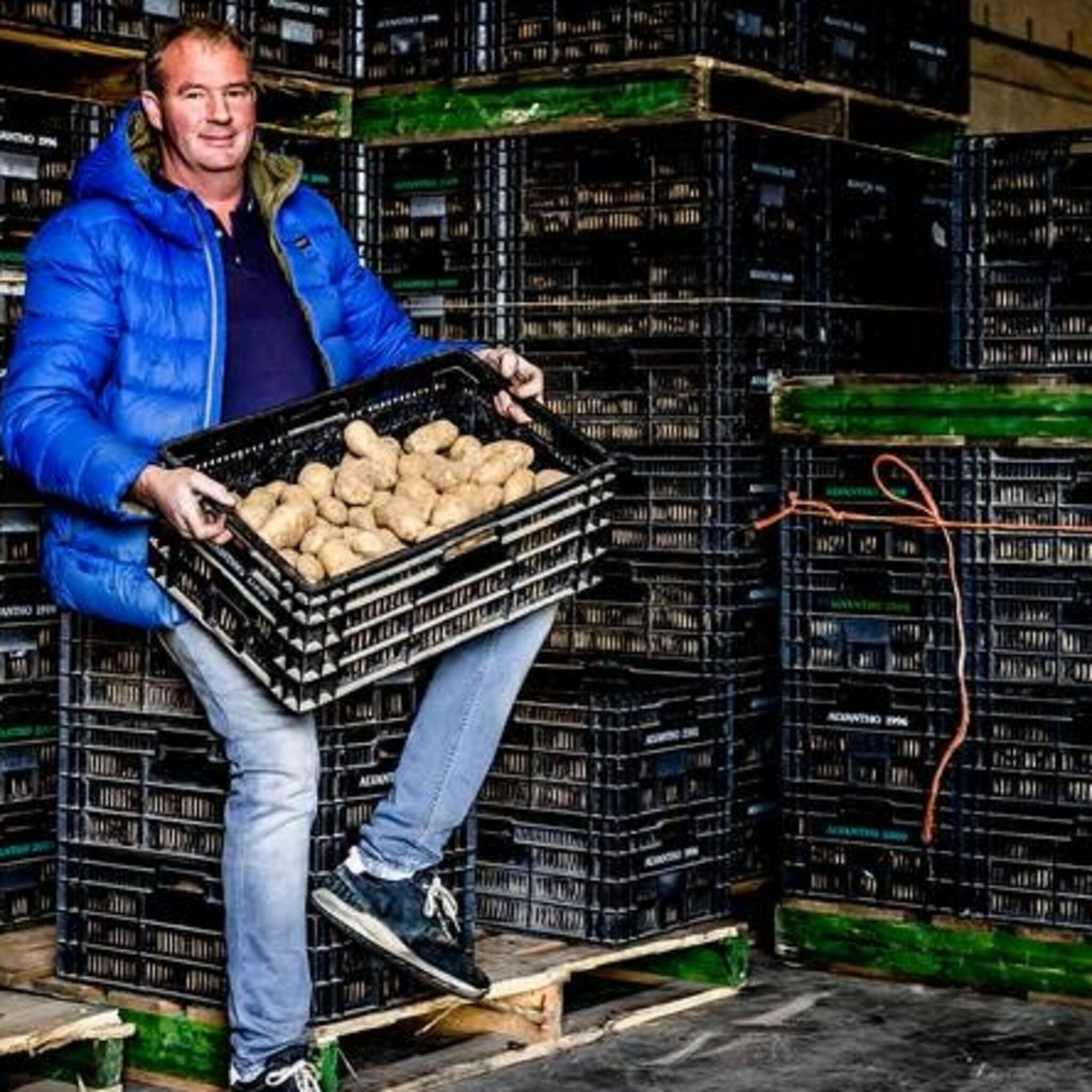 marktkoopman john kruythof scoort nog alle weken met duizenden kilo s piepers