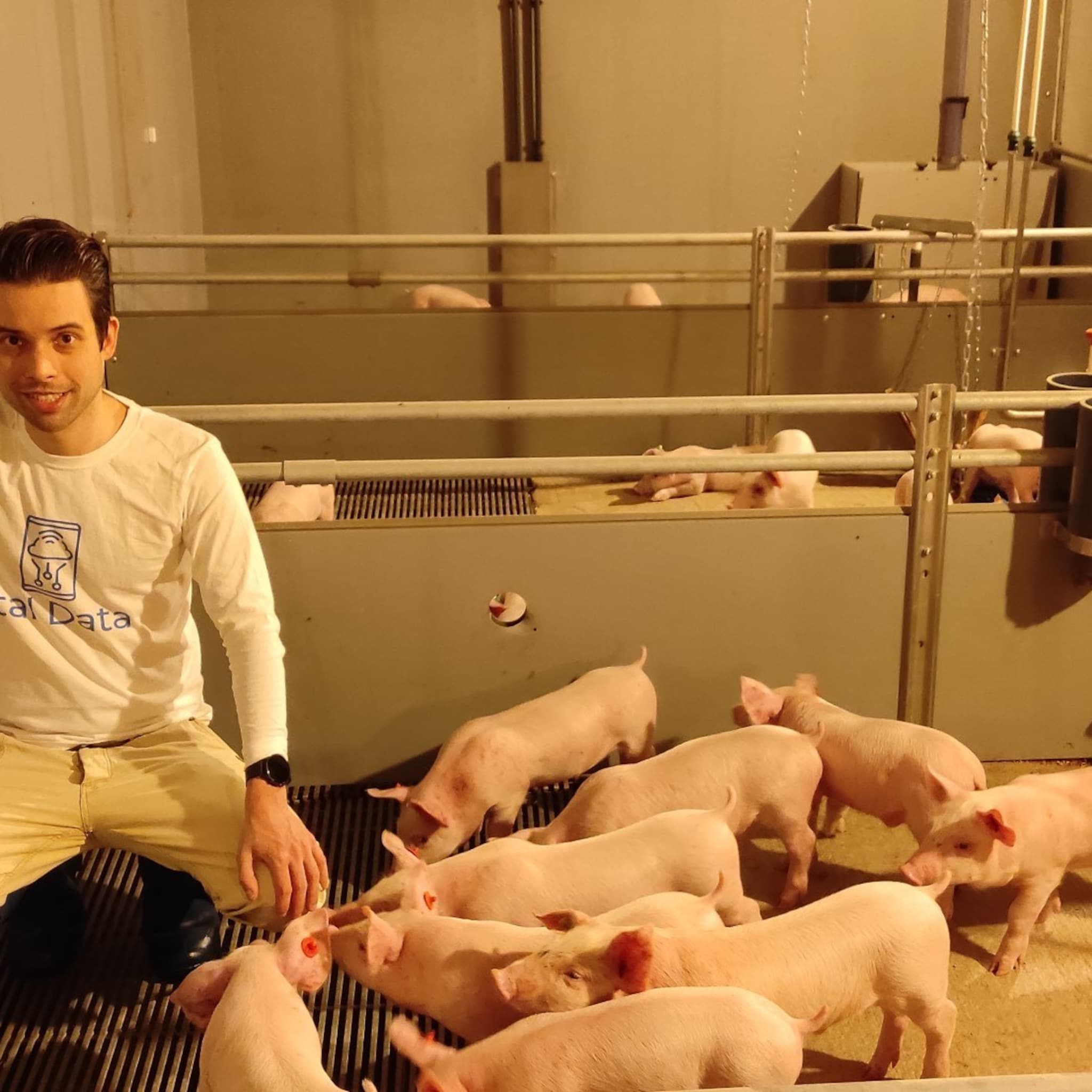 met camera en lichttechnieken maakt deze ondernemer leven van varkens aangenamer