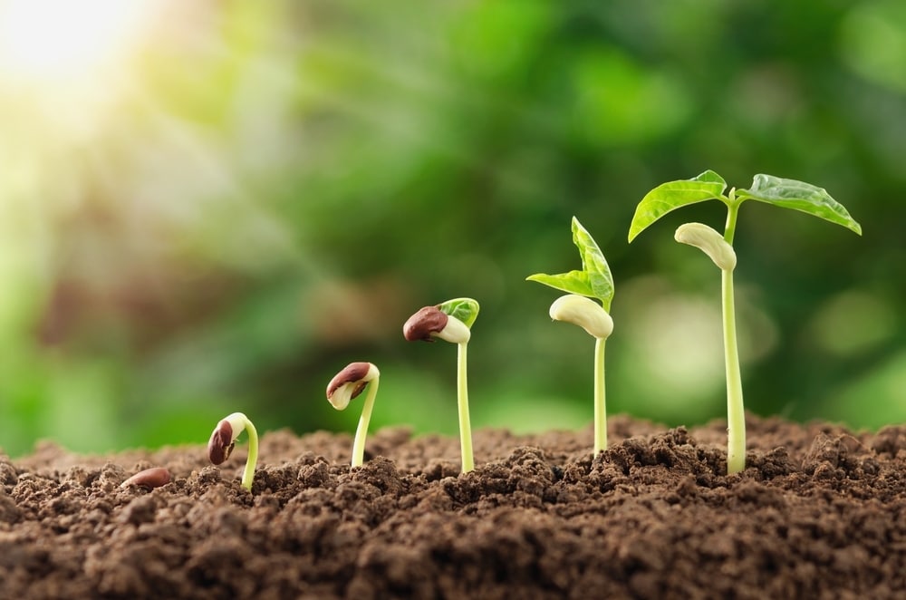 Gaat de nieuwe regering het mkb helpen groeien? Foto: Shutterstock.