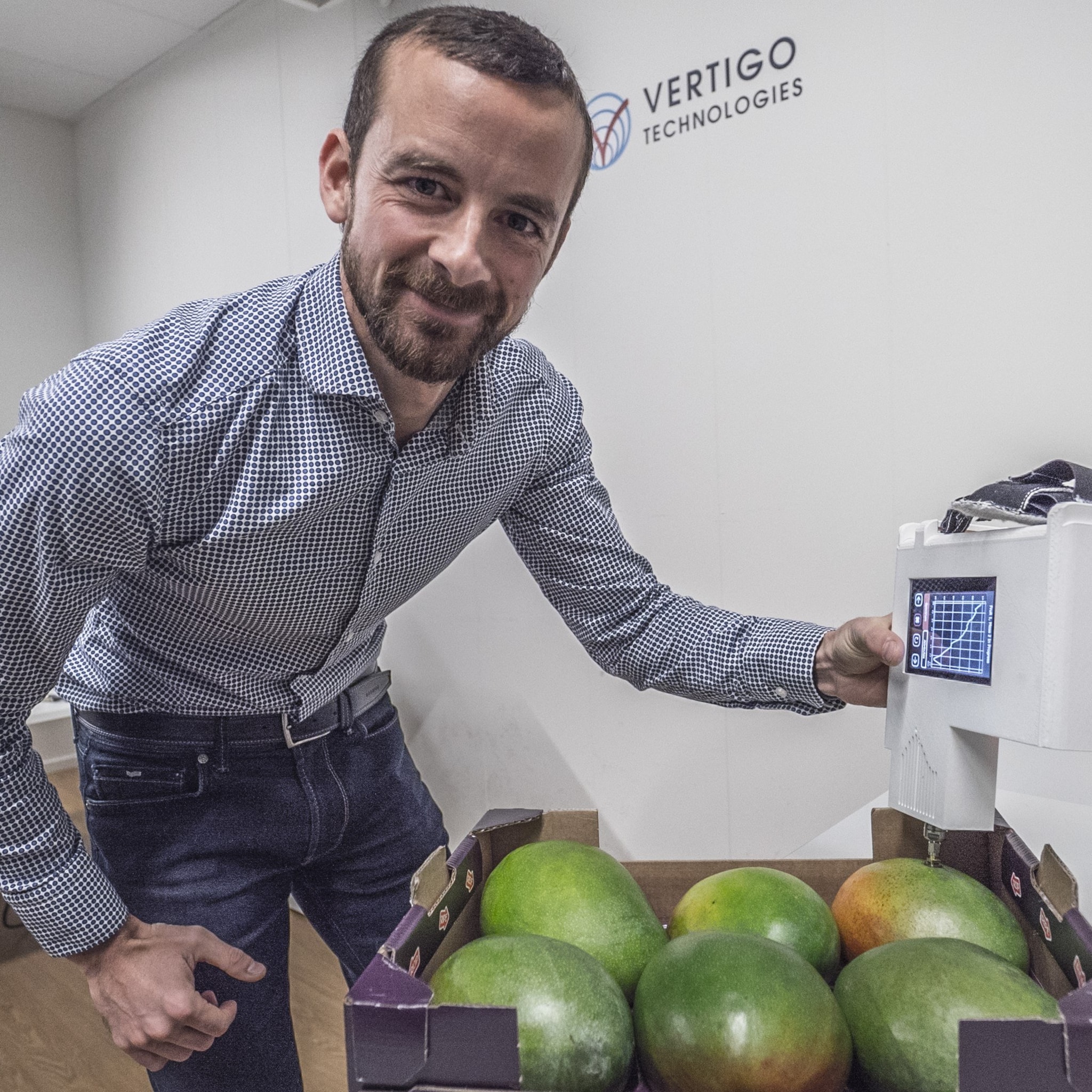 onrijpe of rotte mango of avocado in de schappen met de fresco is dat verleden tijd