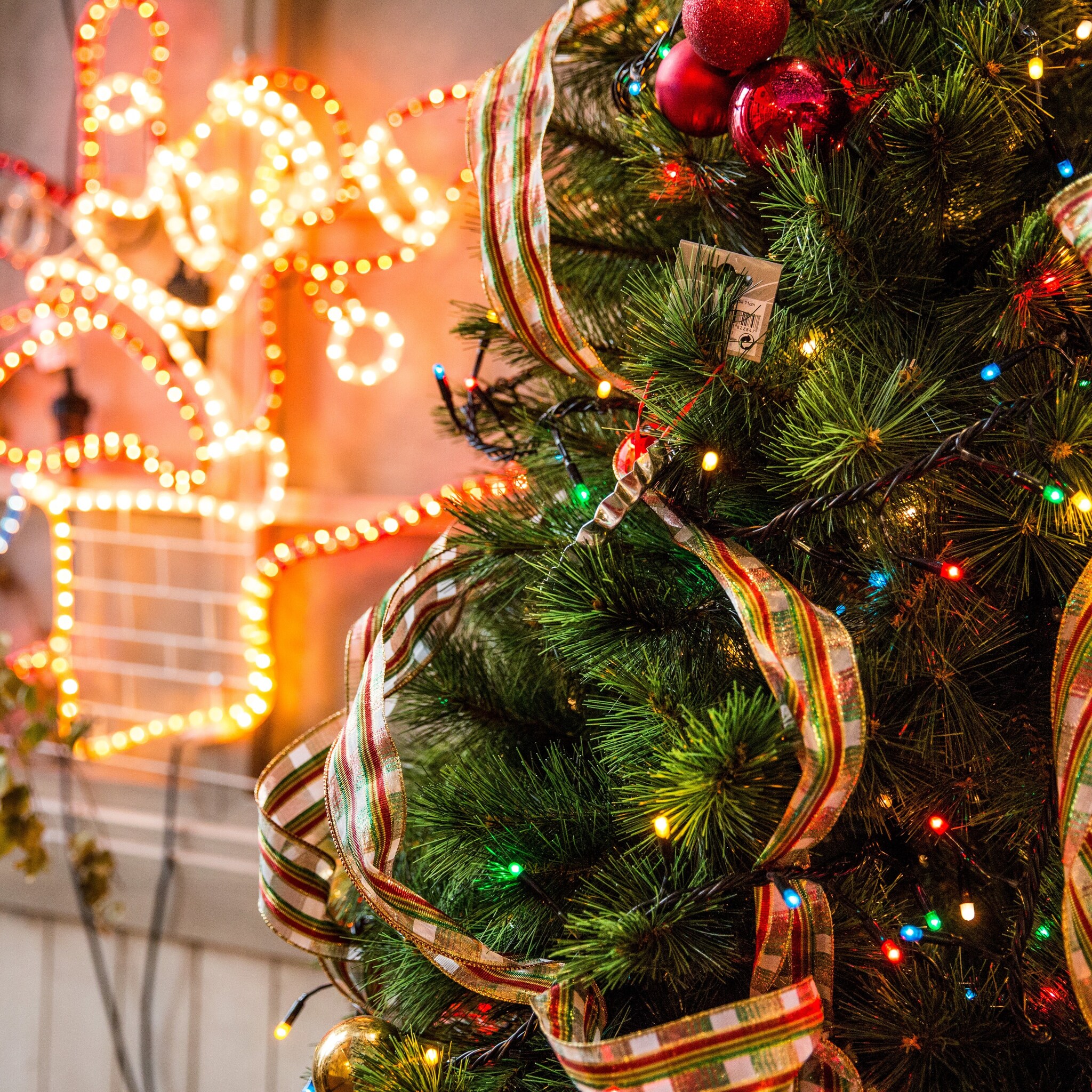 kerstboom steeds vaker online en al voor sinterklaas in huis