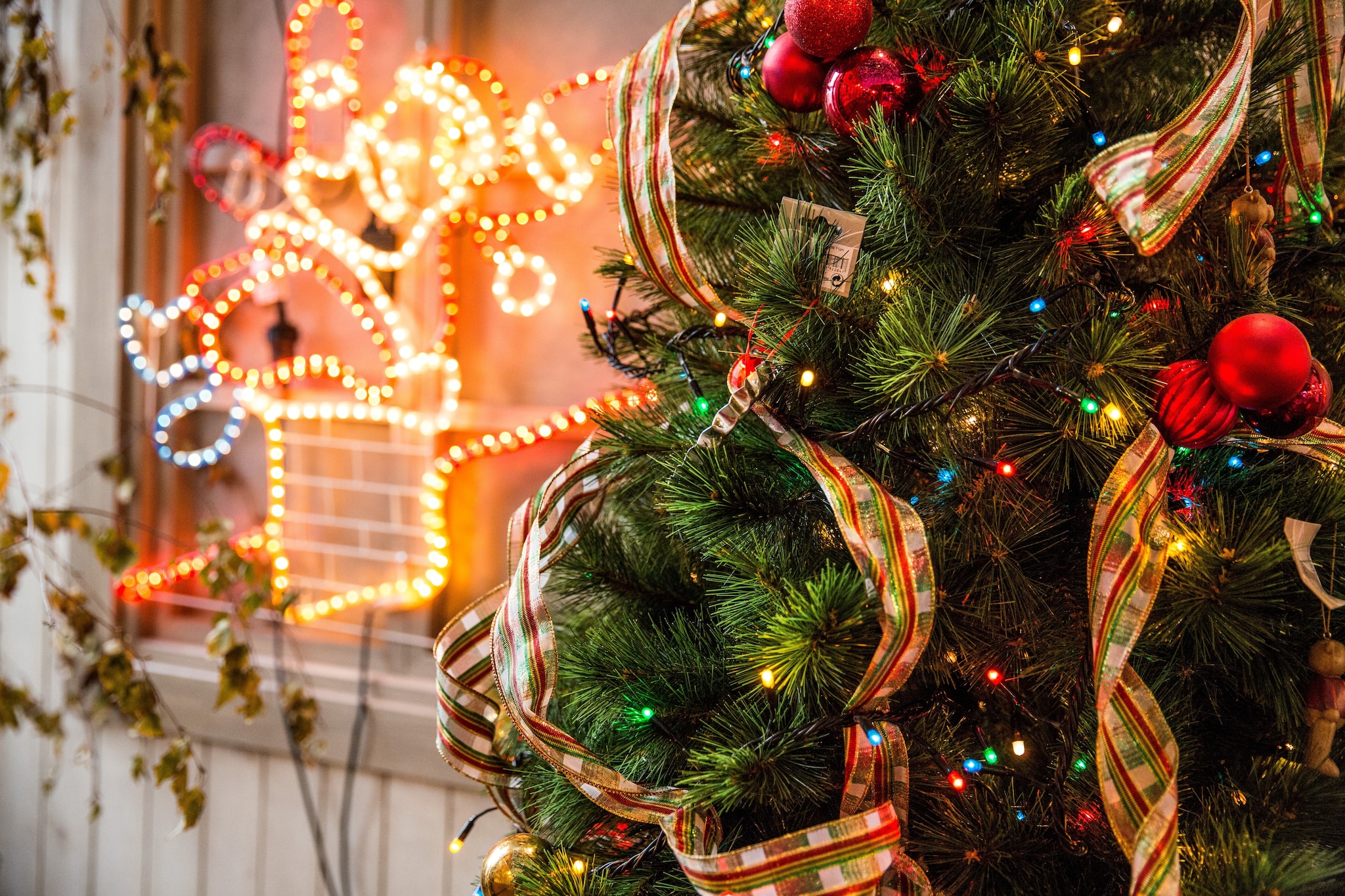 Consumenten kopen hun kerstboom vaker online en al voor 5 december. Foto: ANP