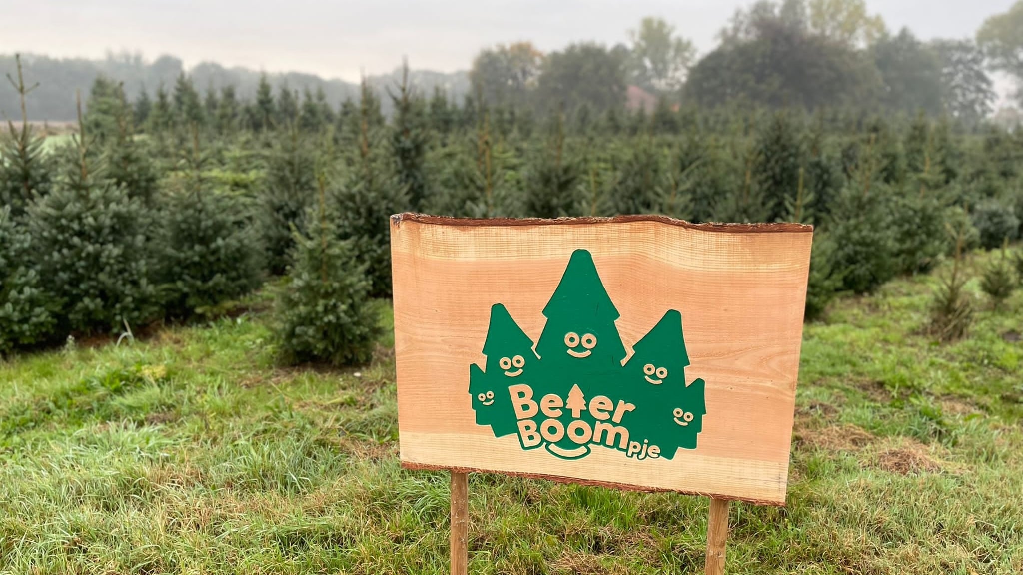Het BeterBoompje Kerstbomenbos in Leusden. Foto: BeterBoompje
