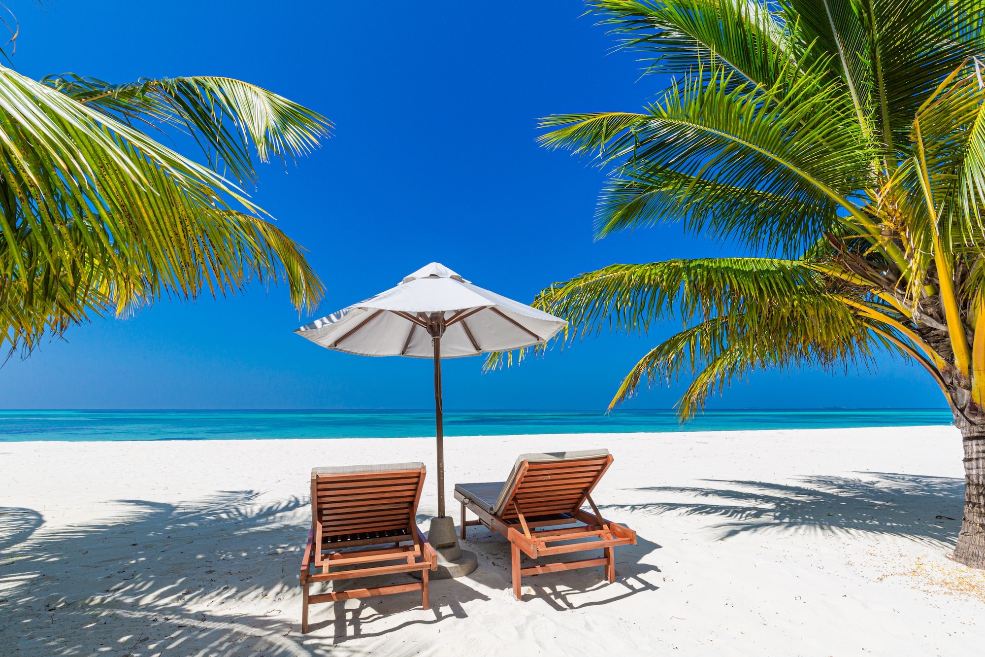 Foto: Shutterstock